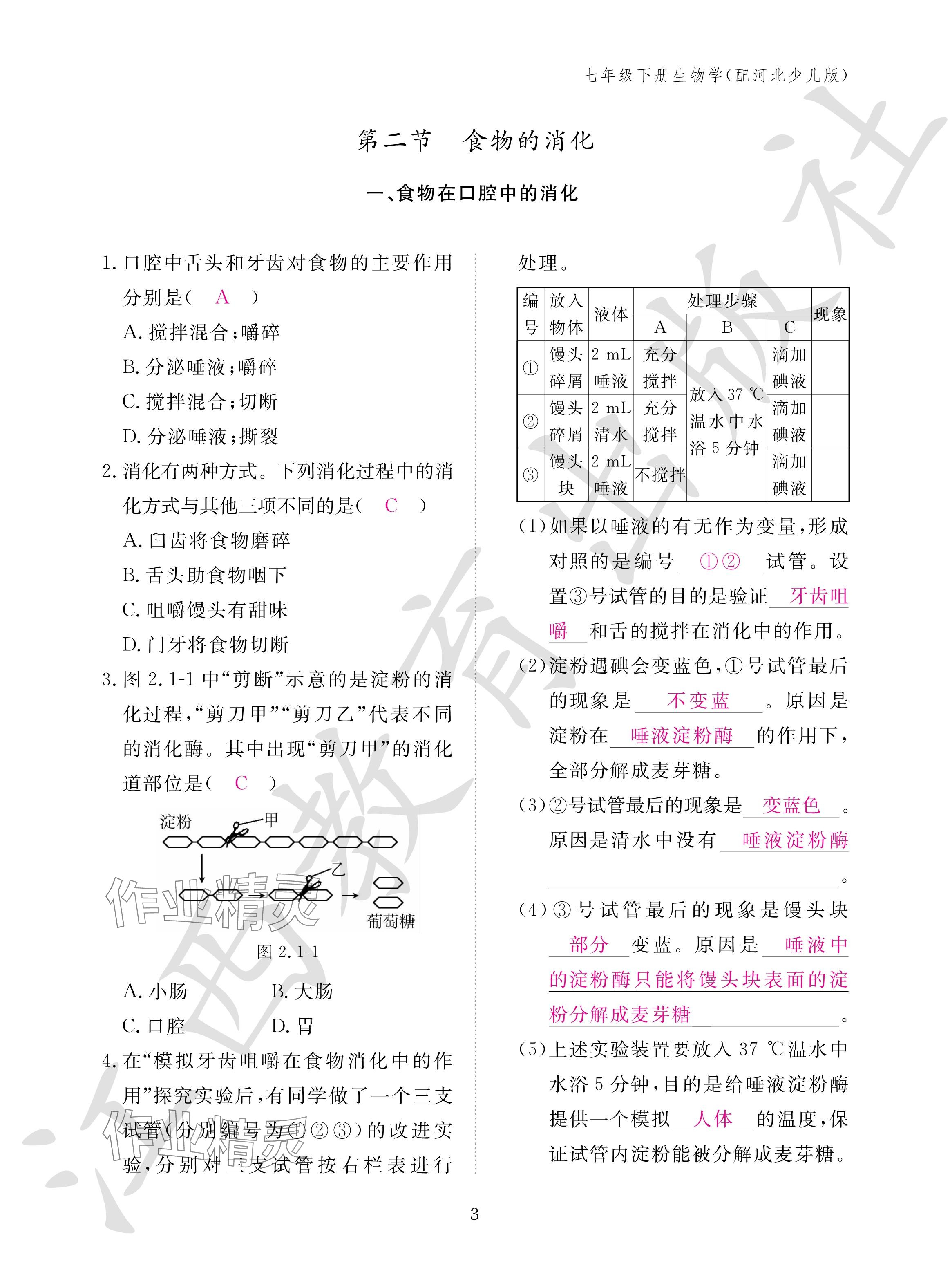 2024年作業(yè)本江西教育出版社七年級生物下冊冀少版 參考答案第3頁