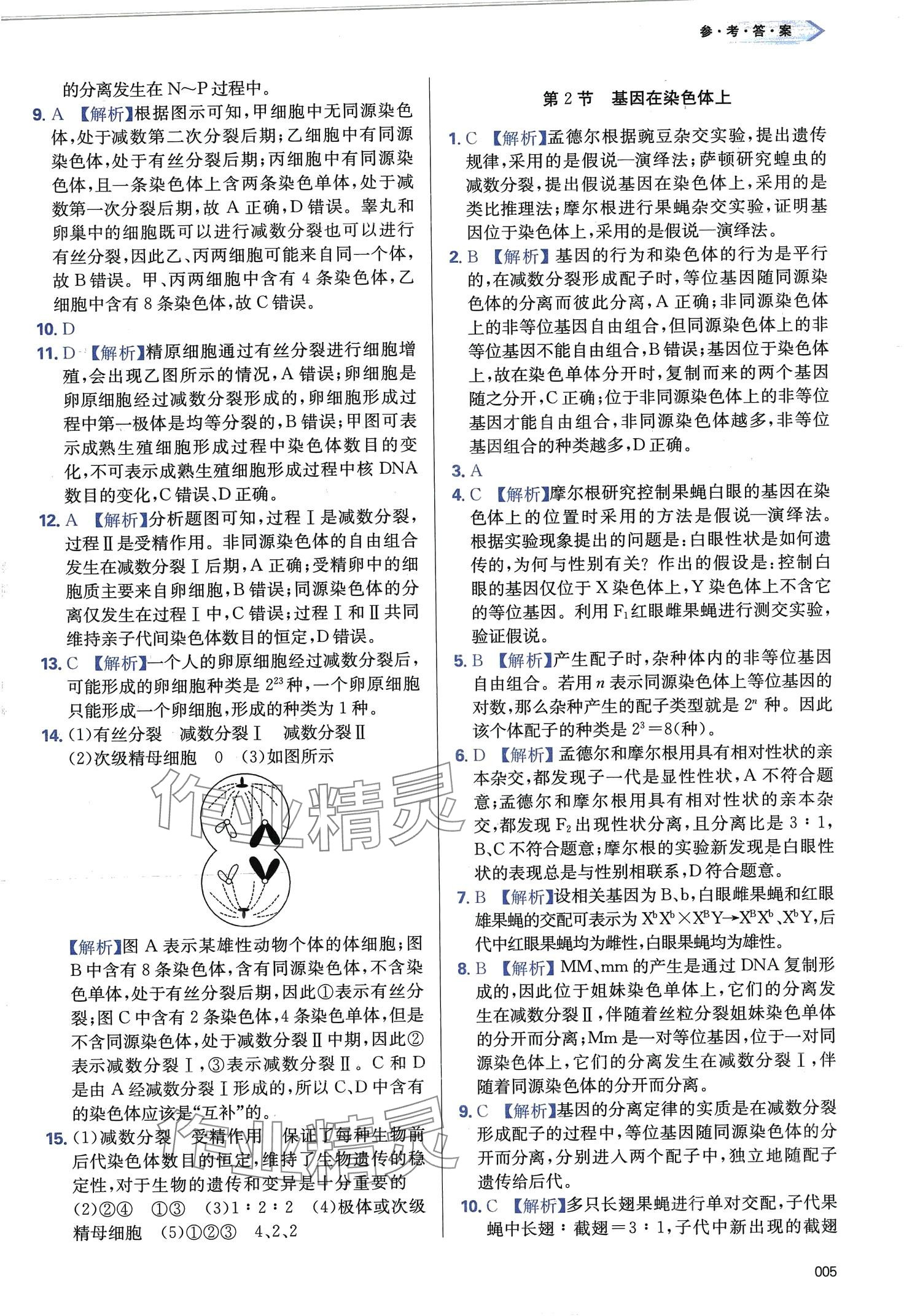 2024年學(xué)習(xí)質(zhì)量監(jiān)測高中生物必修2人教版 第5頁