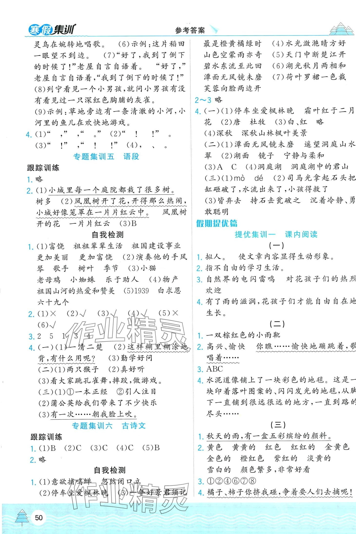 2024年寒假集训合肥工业大学出版社三年级语文人教版 第2页