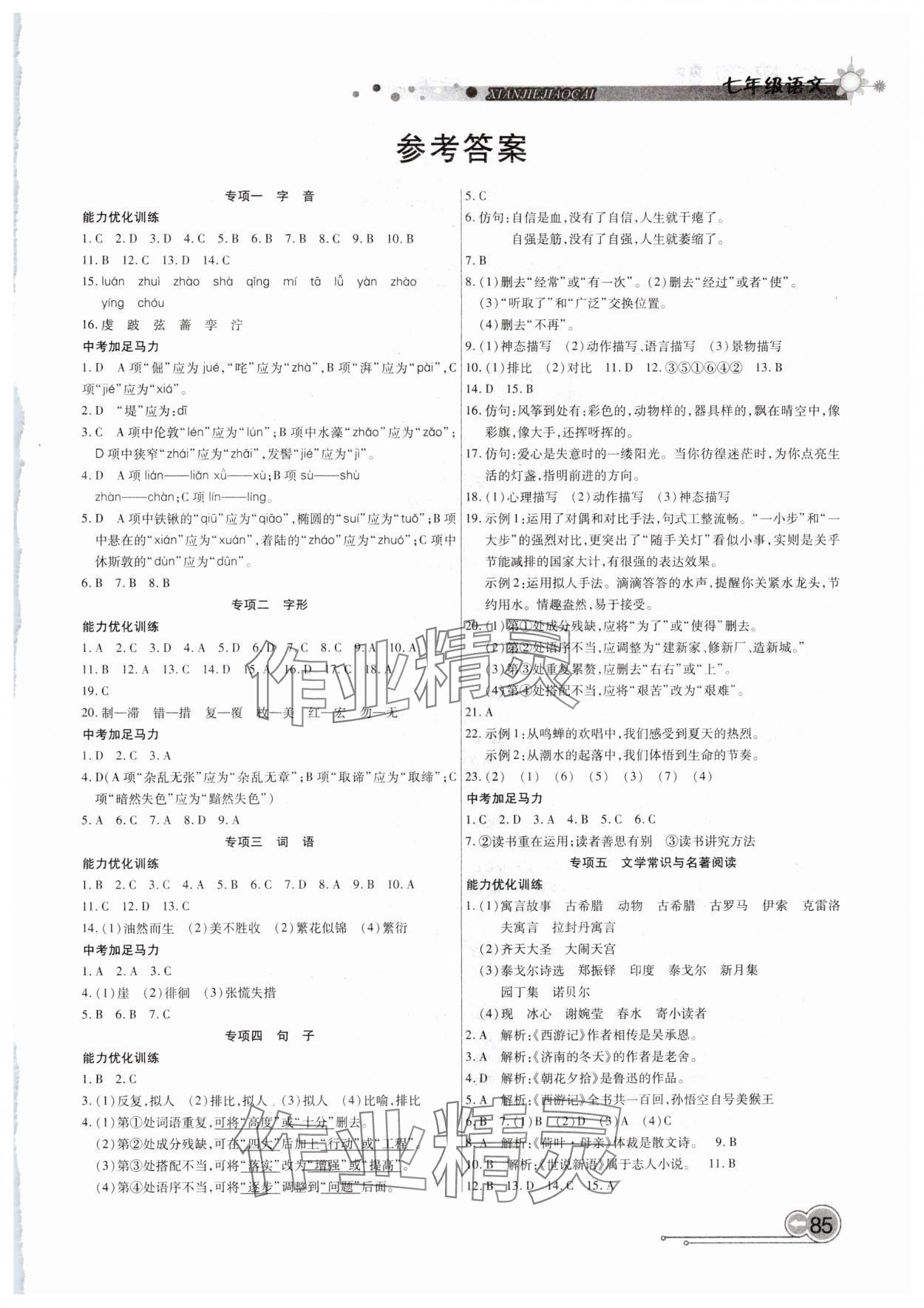 2025年銜接教材學(xué)期復(fù)習(xí)寒假七年級(jí)語(yǔ)文 第1頁(yè)