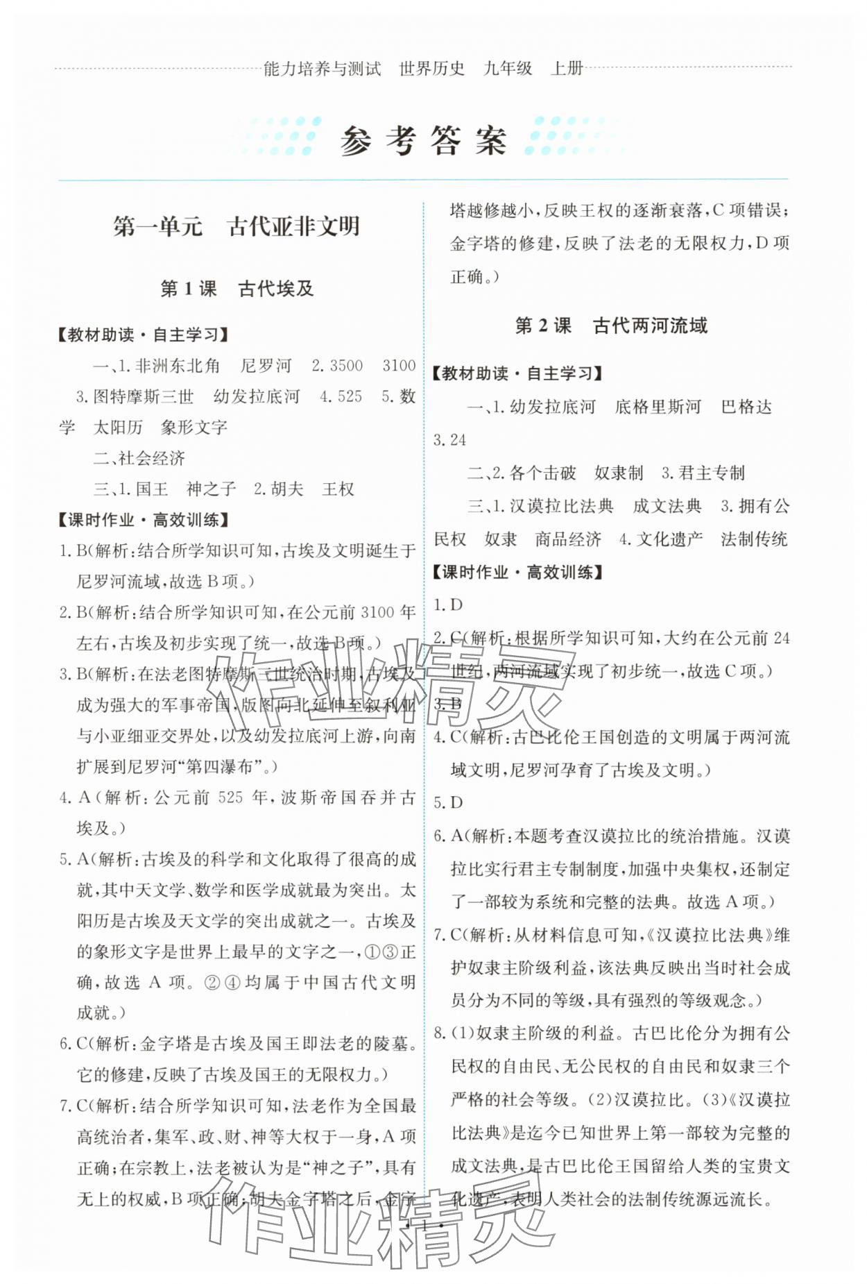 2025年能力培养与测试九年级历史上册人教版 第1页