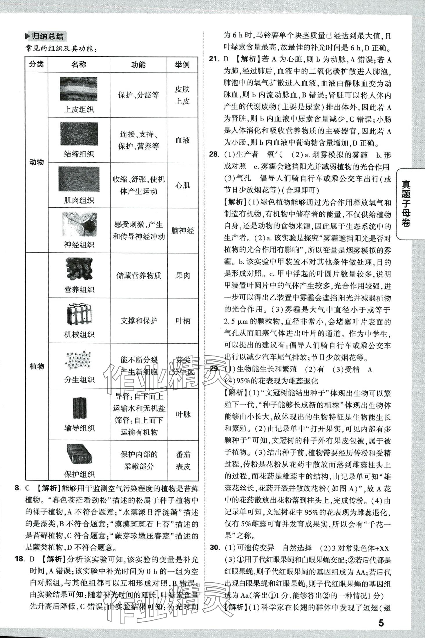 2024年万唯中考真题子母卷生物陕西专版&nbsp;第5页