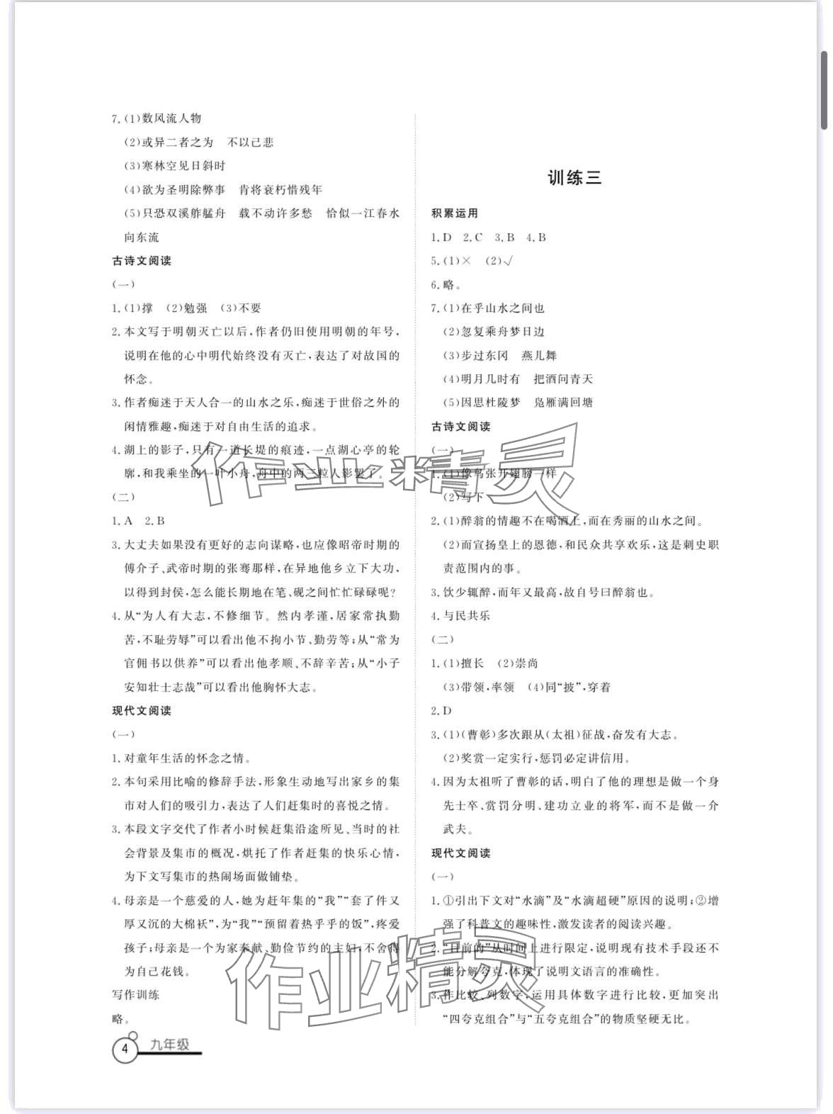 2024年寒假作業(yè)山東文藝出版社九年級(jí) 第4頁(yè)