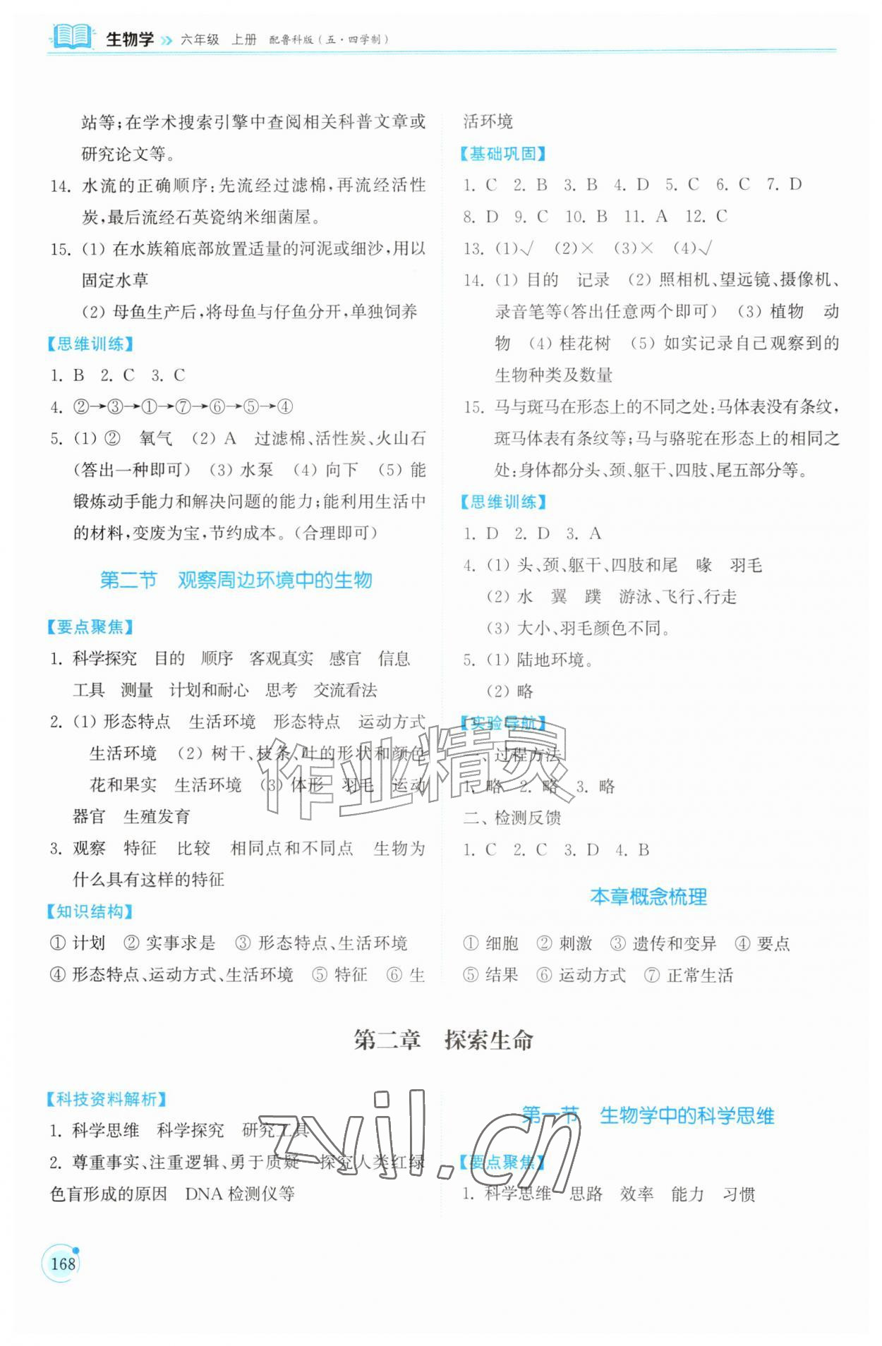 2026年同步练习册山东科学技术出版社六年级生物上册鲁科版五四制&nbsp;参考答案第2页