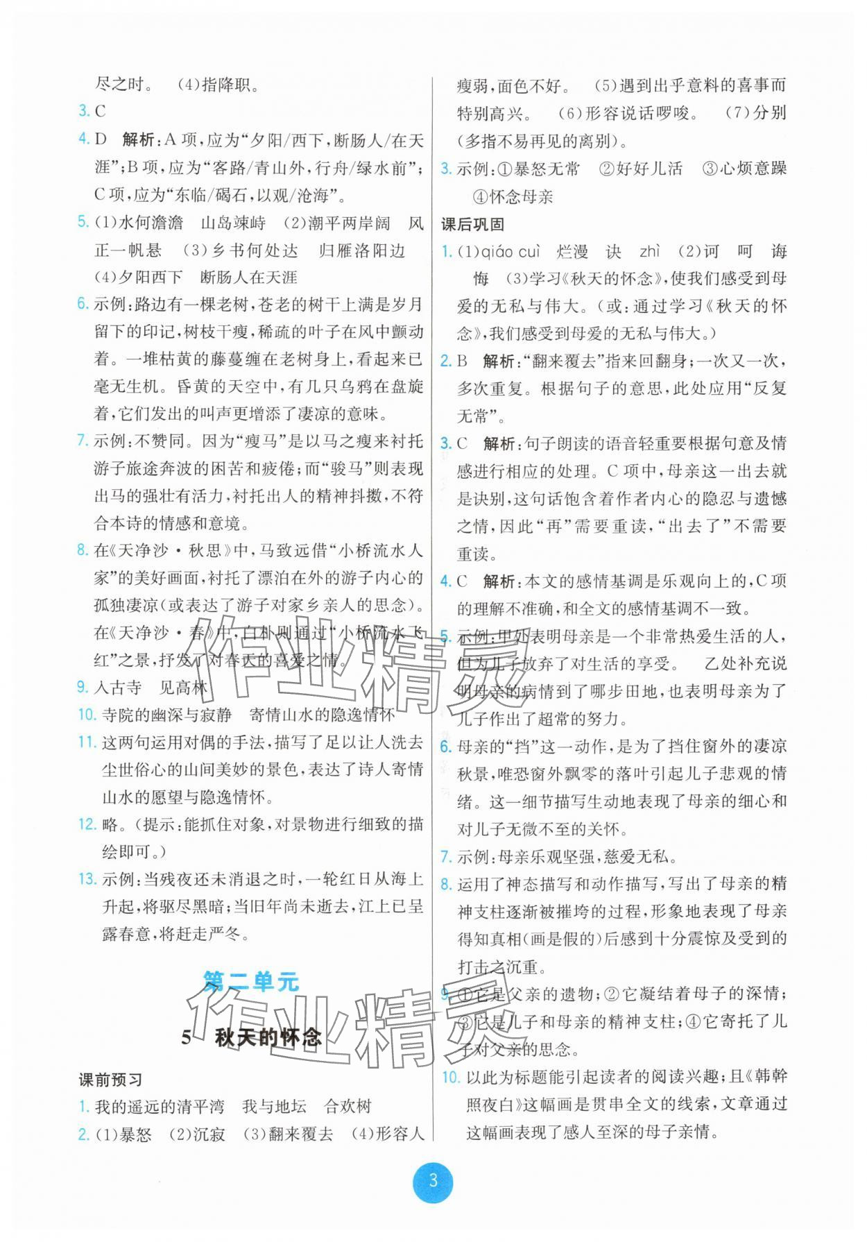 2025年能力培养与测试七年级语文上册人教版湖南专版 第3页