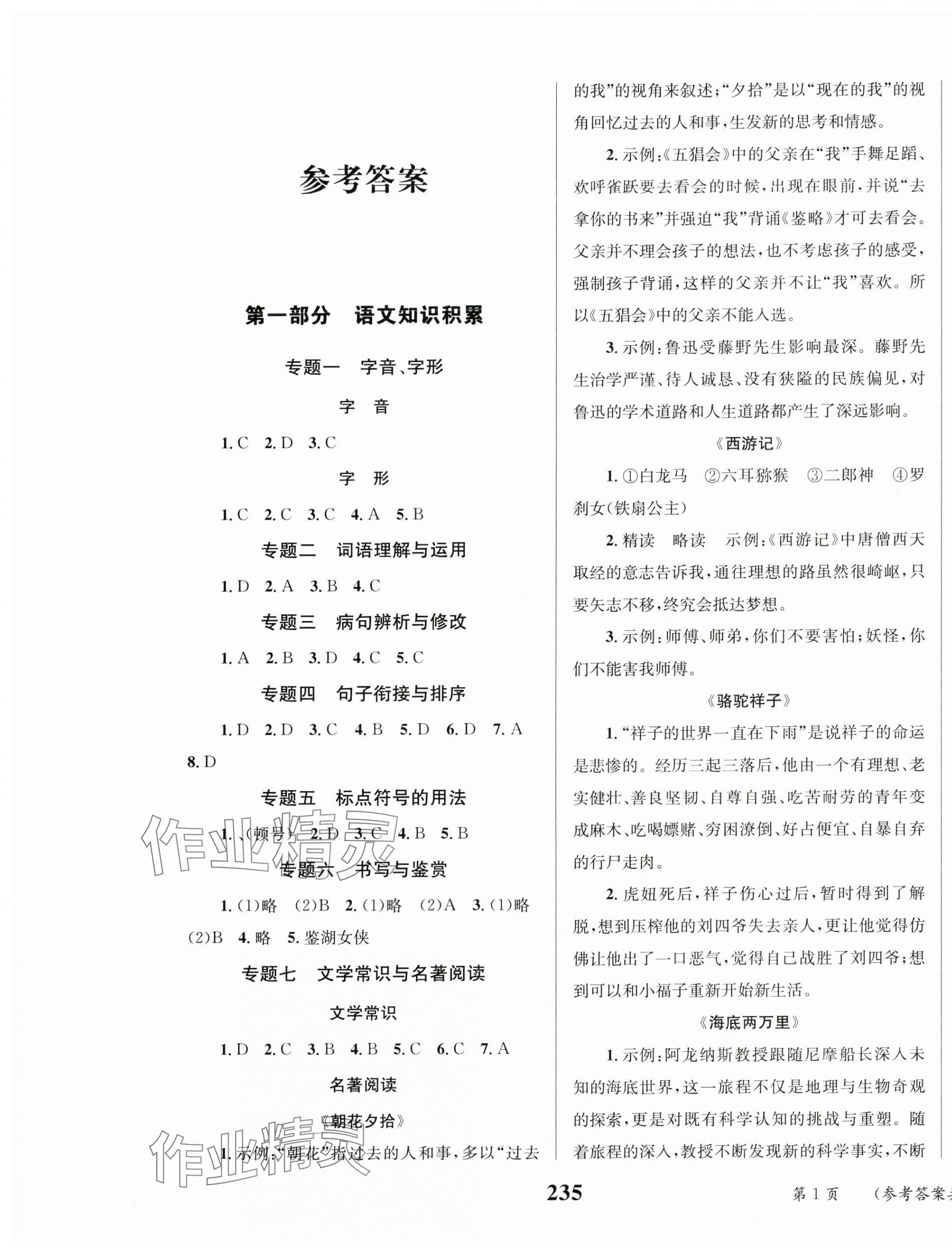2025年云南省初中學業水平考試總復習及測試語文中考 第1頁