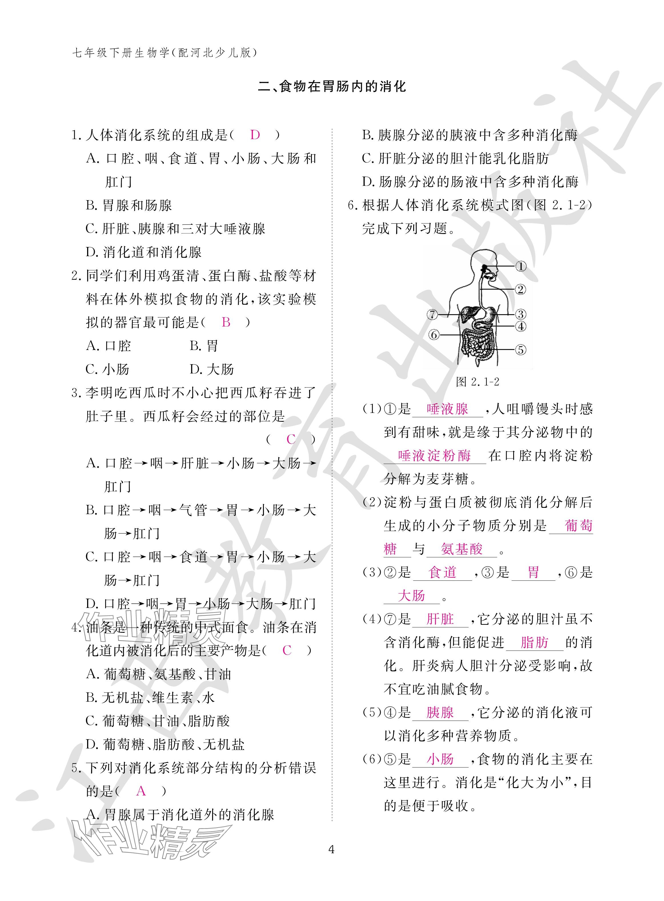 2024年作业本江西教育出版社七年级生物下册冀少版 参考答案第4页