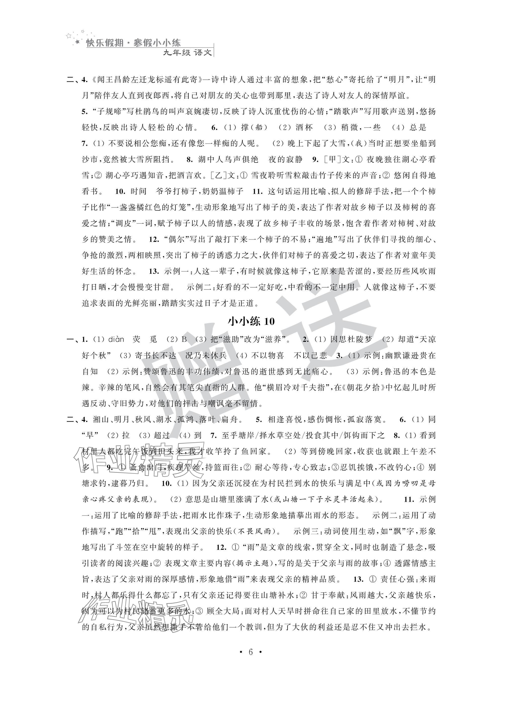 2025年快樂假期寒假小小練九年級(jí)綜合 第6頁