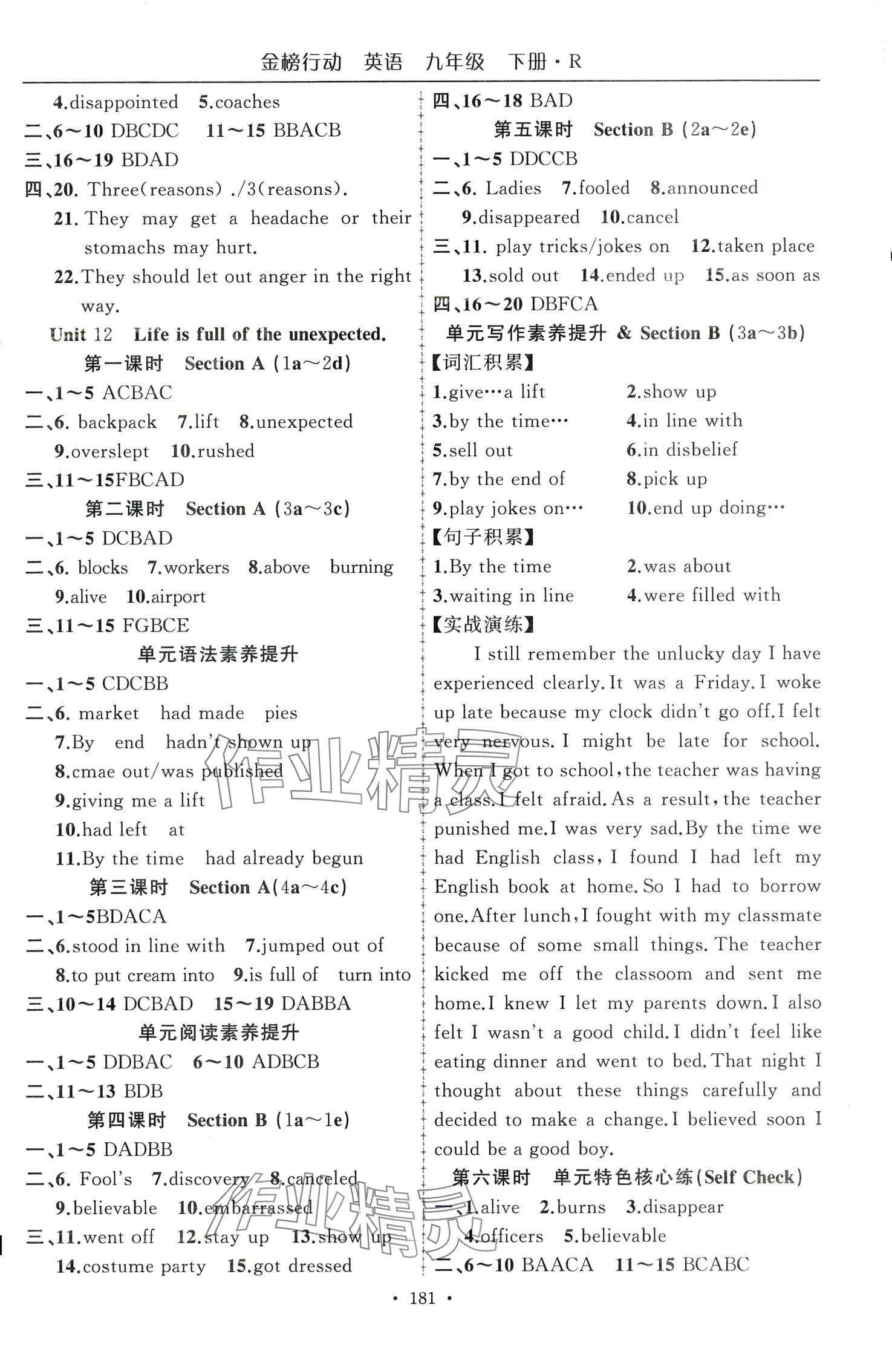 2024年金榜行動(dòng)九年級(jí)英語下冊(cè)人教版 第2頁