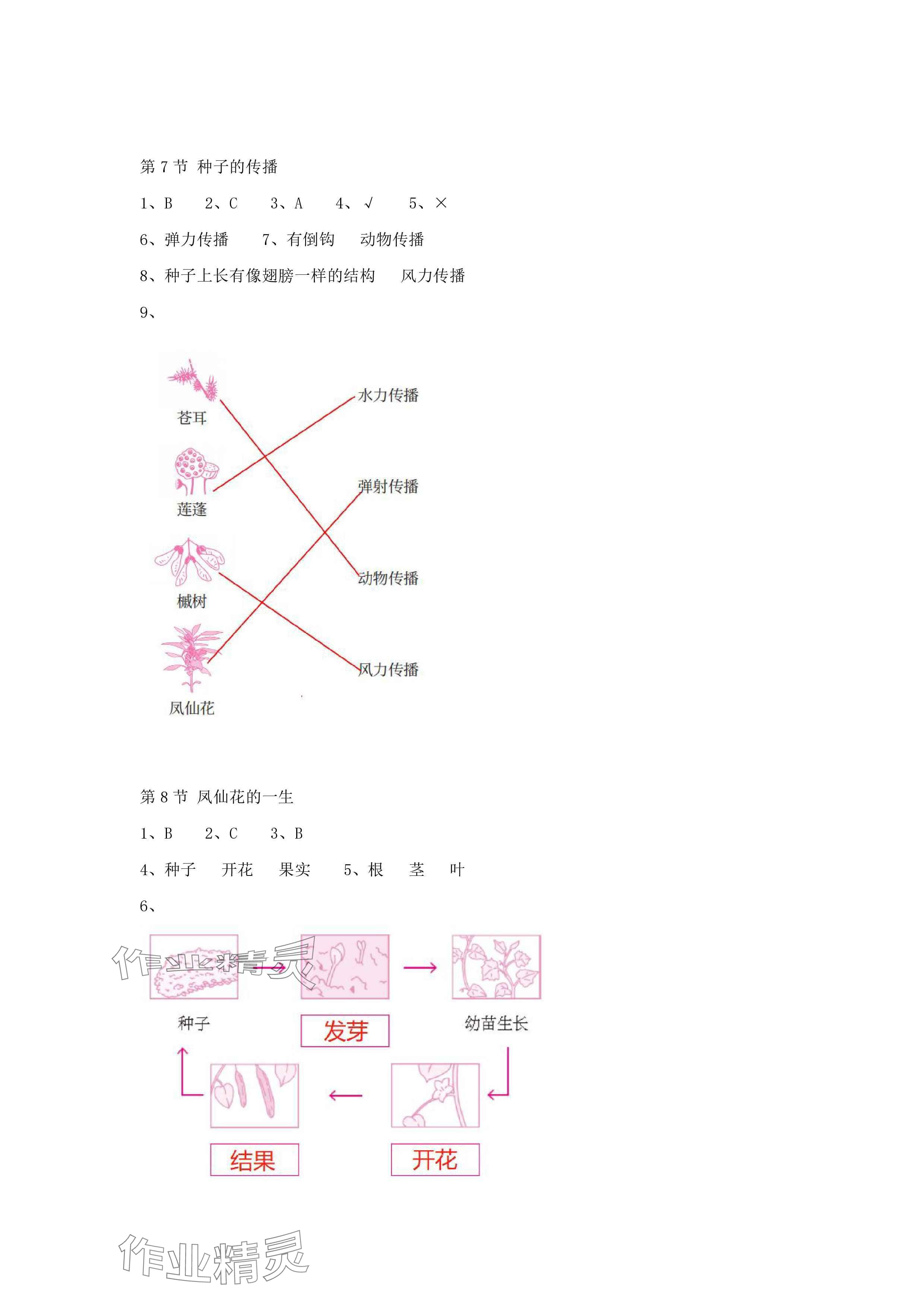 2025年科學課課練四年級下冊教科版 參考答案第3頁