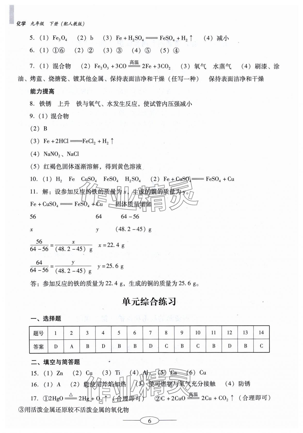 2024年南方新课堂金牌学案九年级化学下册人教版珠海专版 参考答案第6页