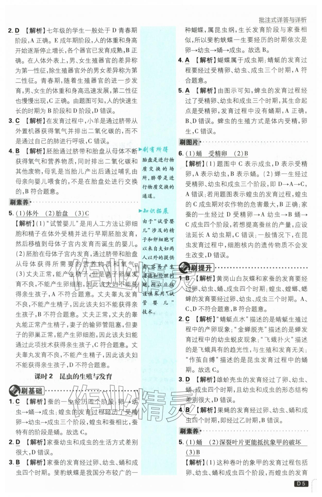 2026年初中必刷题七年级科学下册浙教版浙江专版&nbsp;第5页