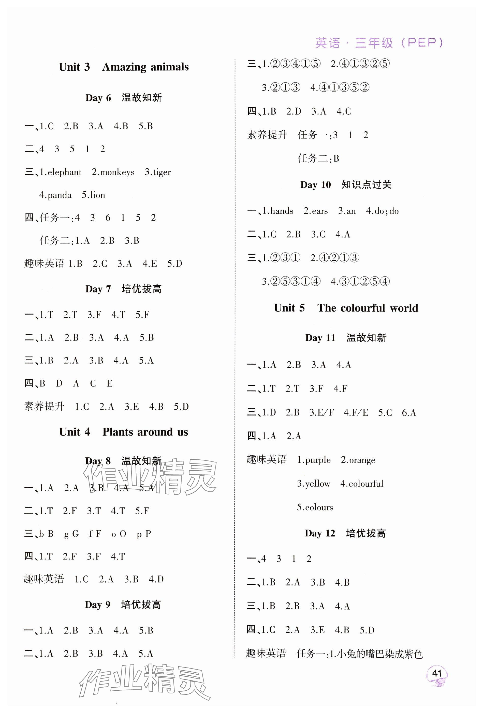 2025年全優(yōu)假期派三年級英語全一冊人教版 參考答案第2頁