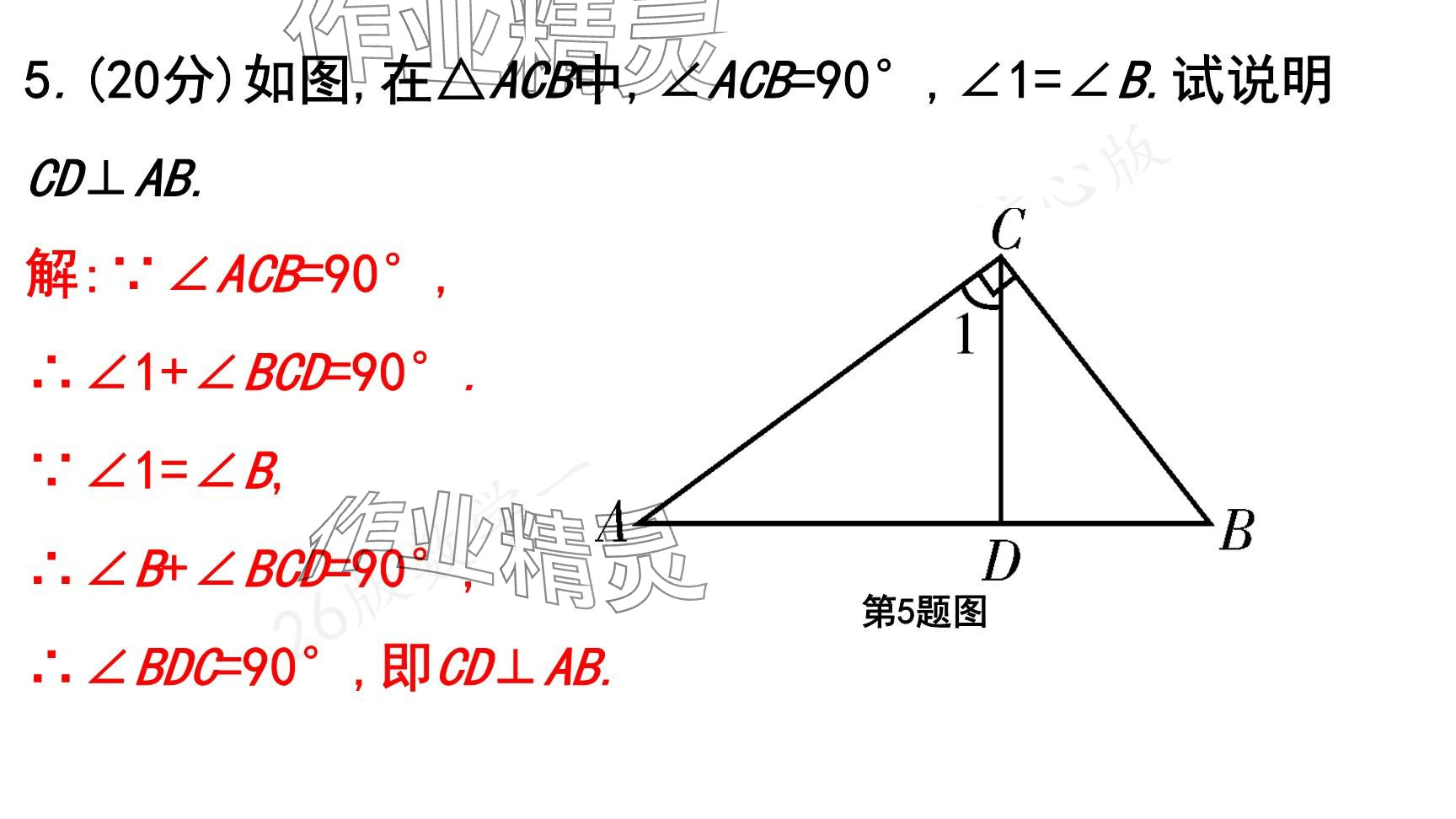 2025年一本通武漢出版社七年級(jí)數(shù)學(xué)下冊(cè)北師大版核心版 參考答案第114頁