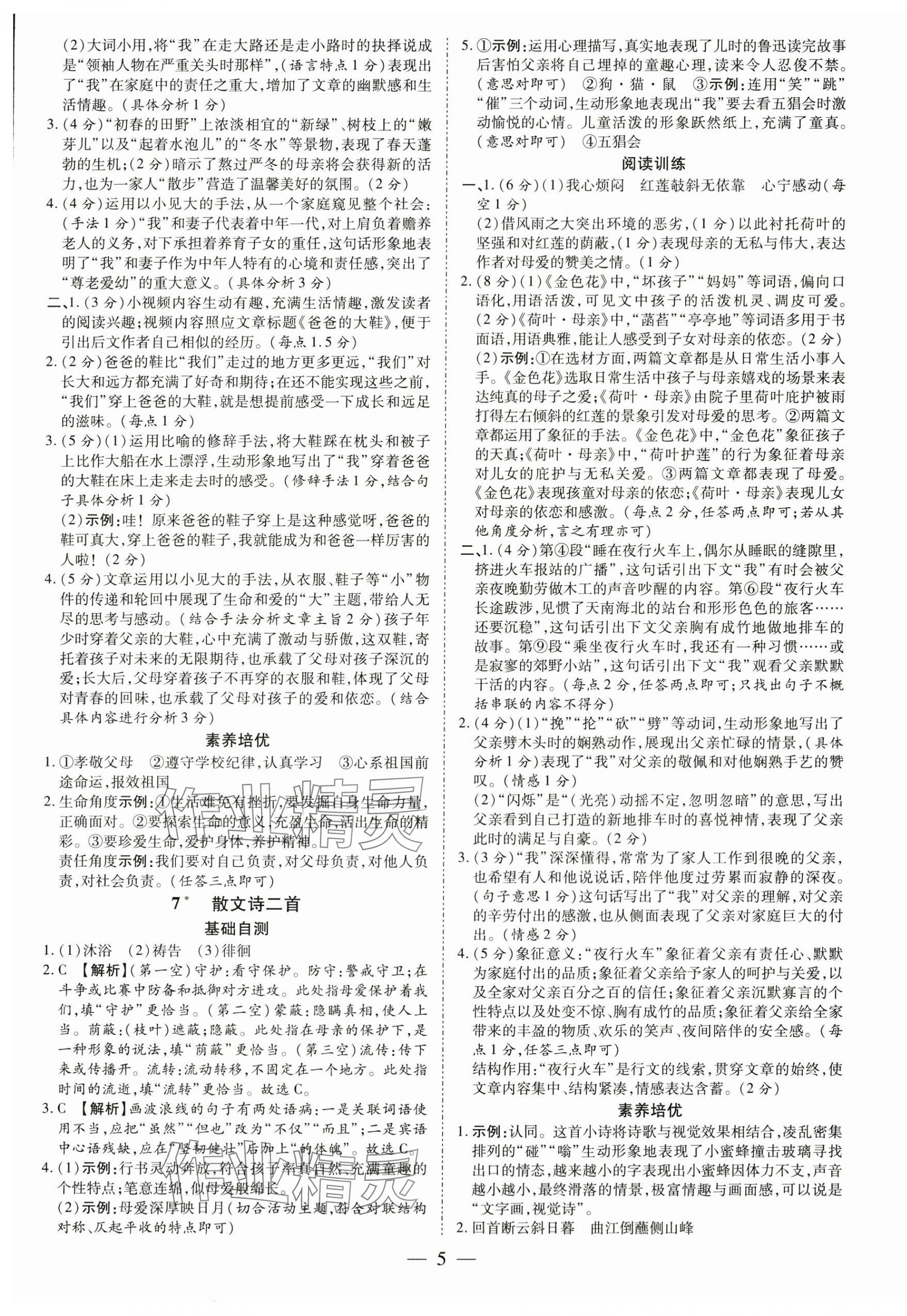 2024年領跑作業本七年級語文上冊人教版廣東專版 第5頁