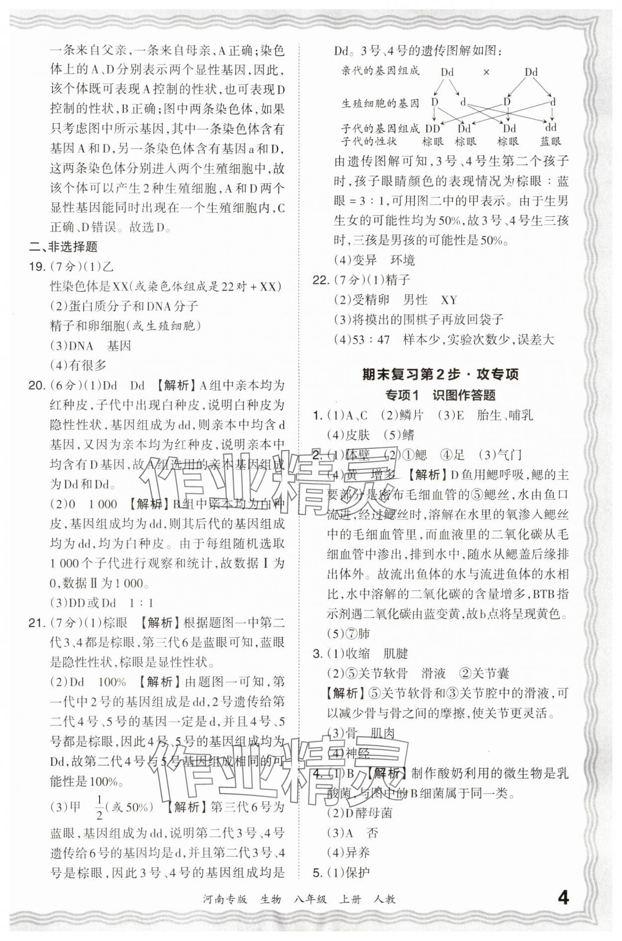 2024年王朝霞各地期末试卷精选八年级生物上册人教版河南专版 参考答案第4页