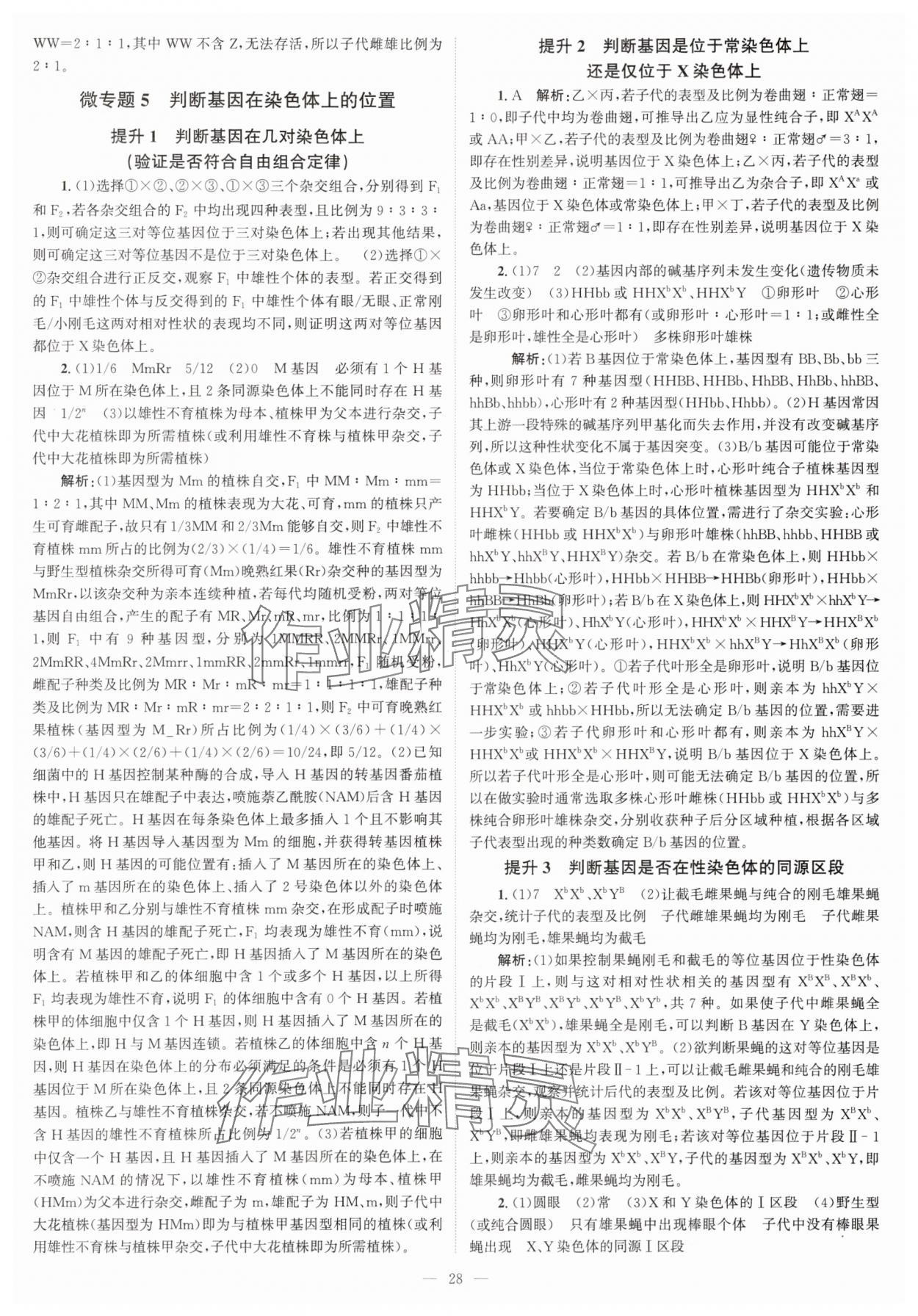 2025年高考一輪復習南方鳳凰臺生物廣東專版 第28頁