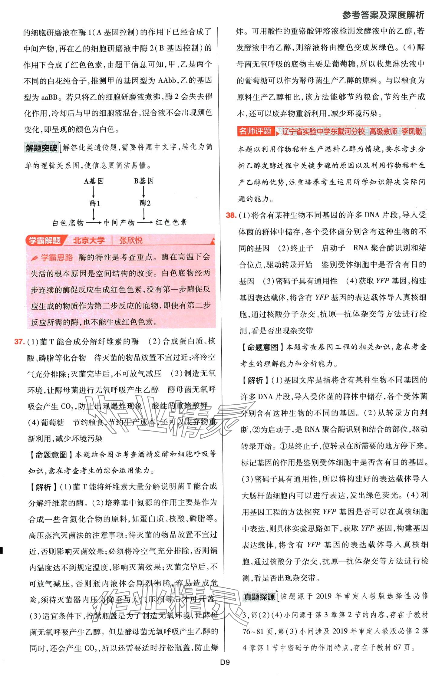 2024年高考五年真題高中生物 第9頁(yè)