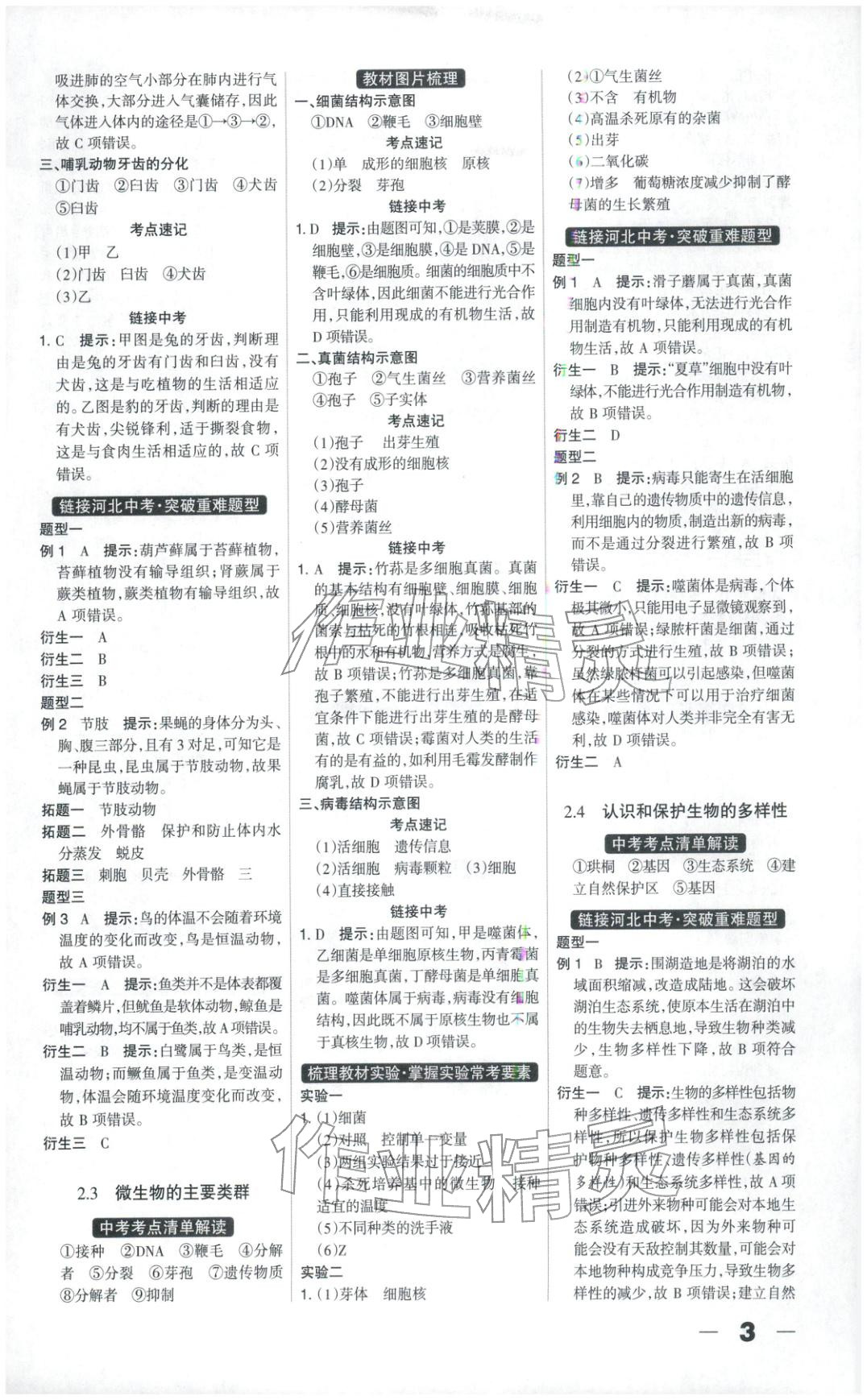 2026年中教万联中考总动员八年级生物河北专版&nbsp;第3页
