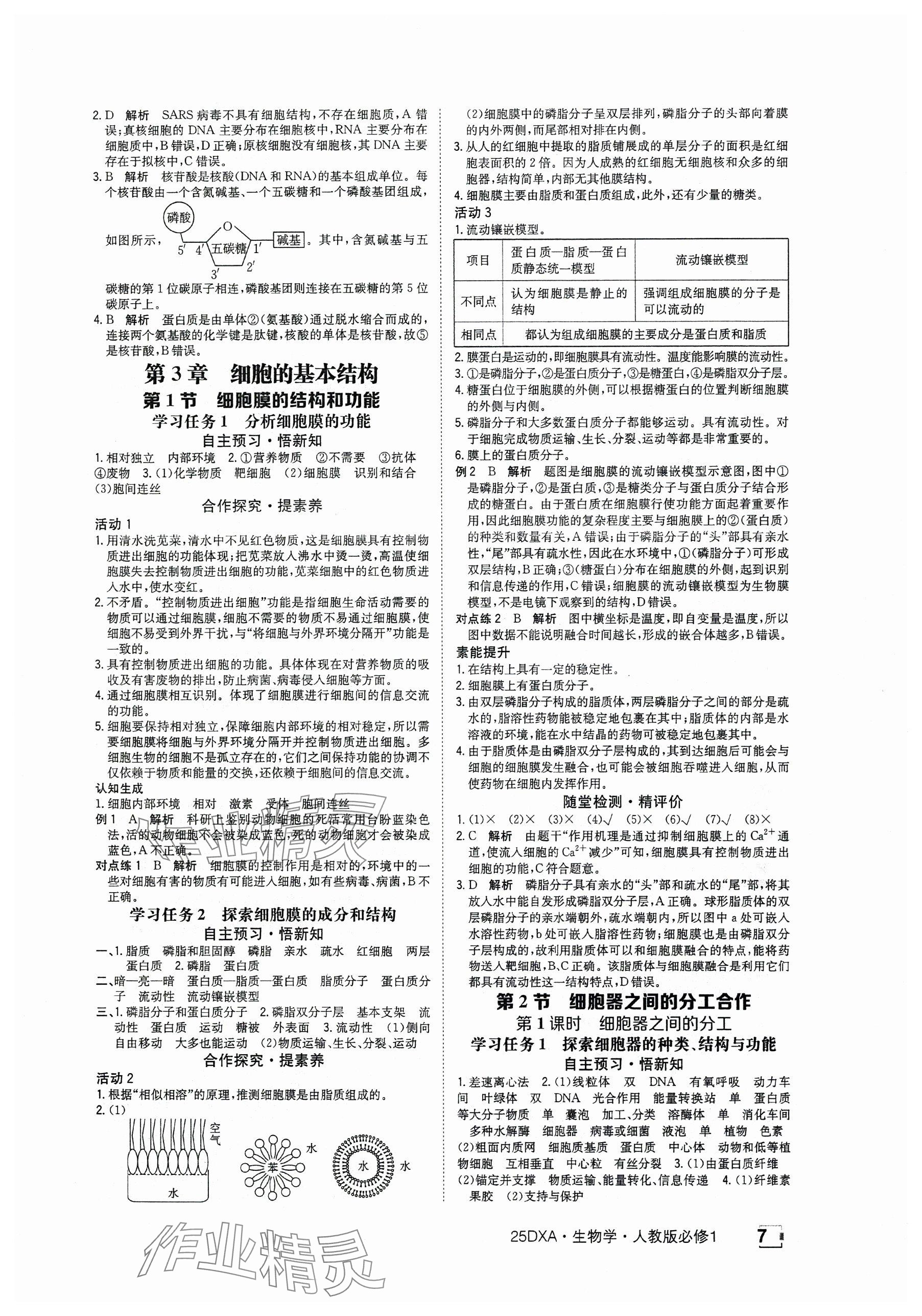 2024年金太陽導(dǎo)學(xué)案高中生物必修1人教版 參考答案第7頁