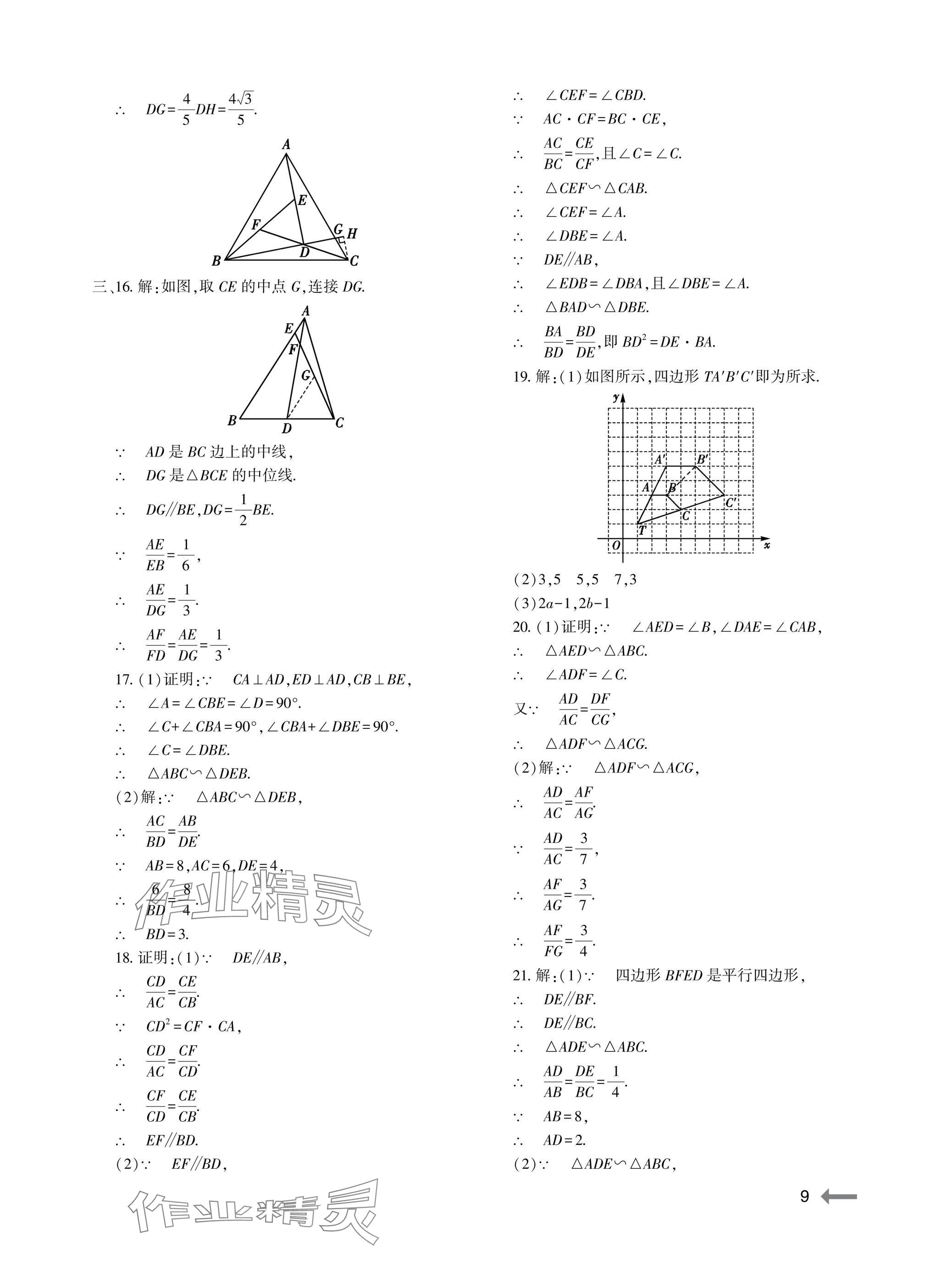 2025年节节高大象出版社九年级数学全一册华师大版 参考答案第9页
