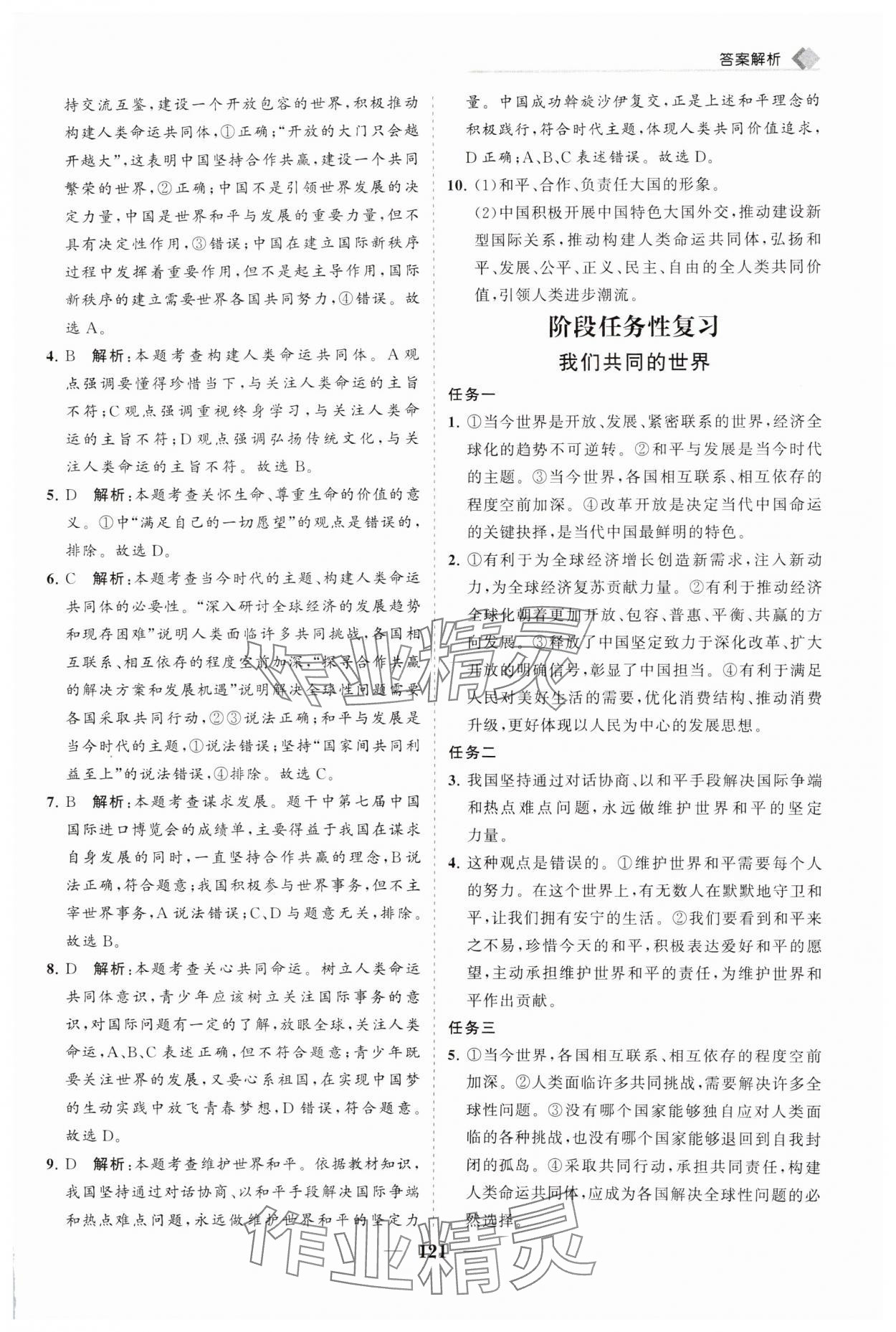 2025年新課程同步練習冊九年級道德與法治下冊人教版 第5頁