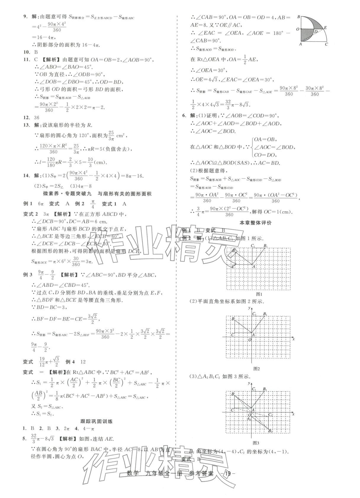 2025年精彩練習(xí)就練這一本九年級(jí)數(shù)學(xué)全一冊(cè)浙教版&nbsp;第19頁(yè)