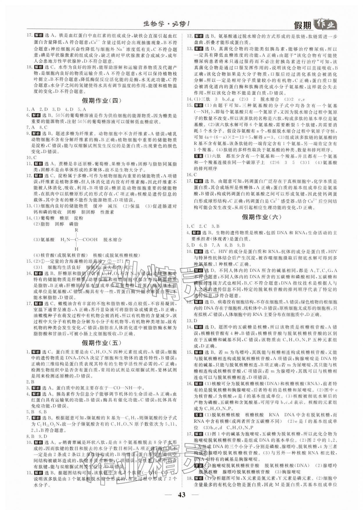 2026年快樂(lè)假期崇文書(shū)局高一生物&nbsp;參考答案第2頁(yè)