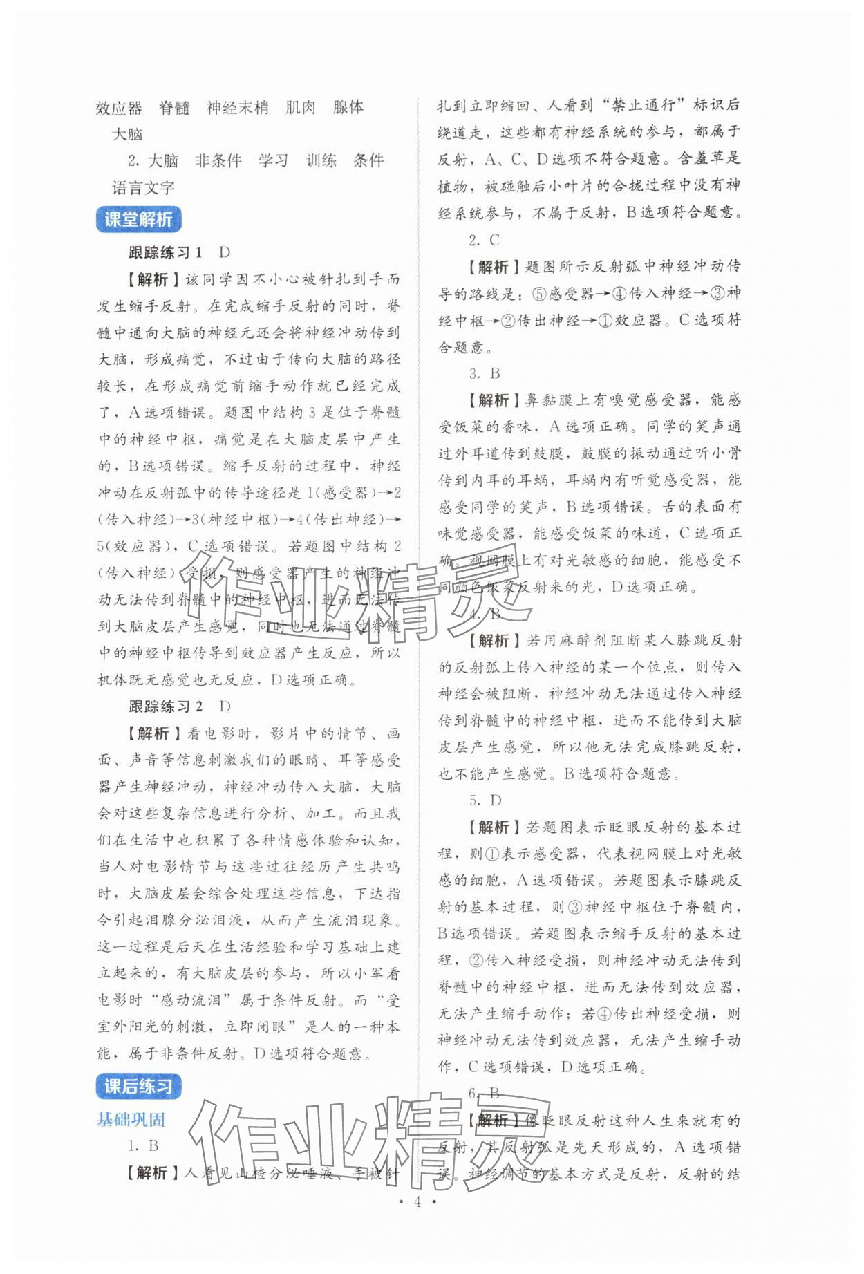 2025年人教金学典同步解析与测评八年级生物上册人教版&nbsp;第4页
