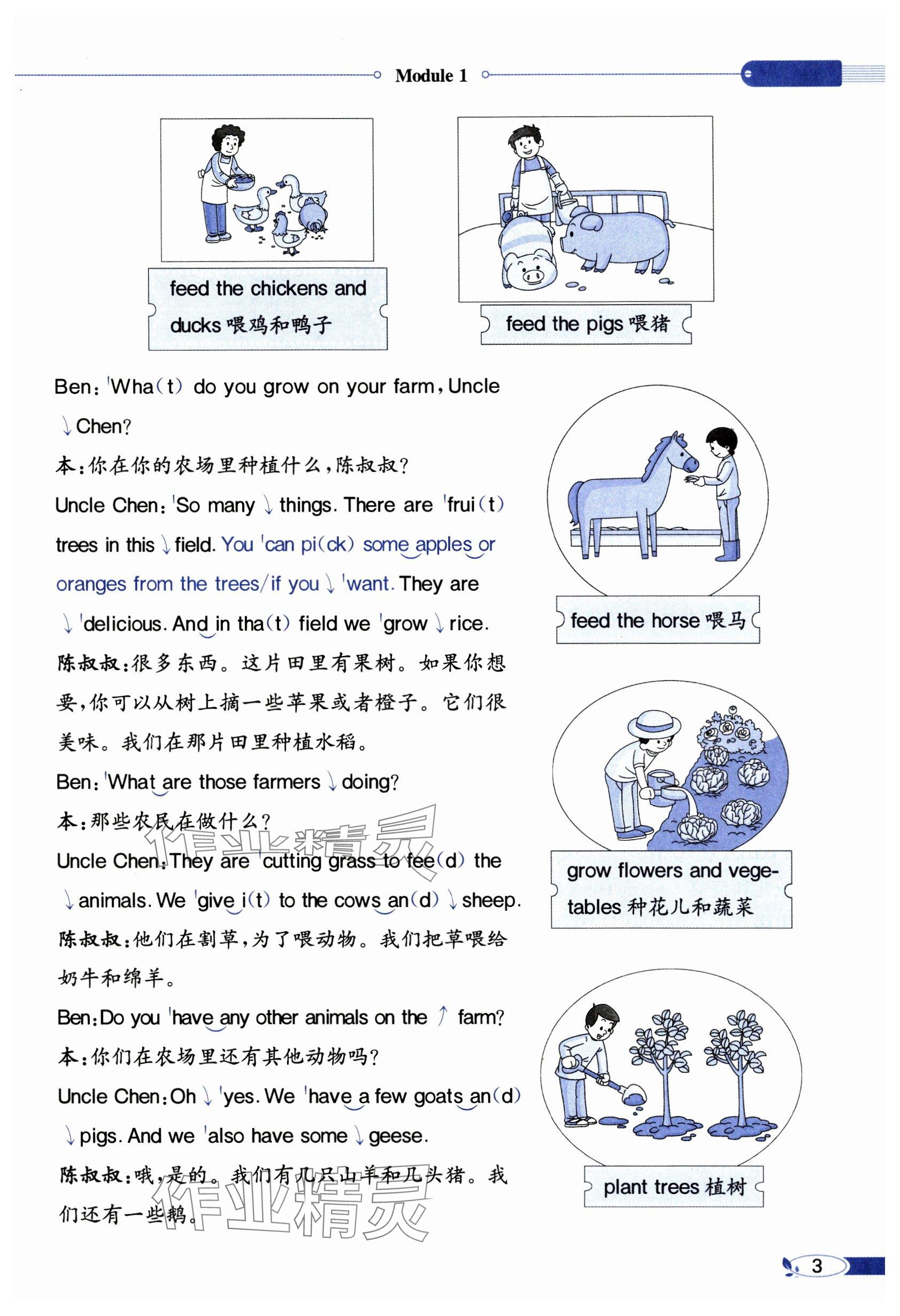 2024年教材課本六年級(jí)英語(yǔ)上冊(cè)教科版 參考答案第3頁(yè)