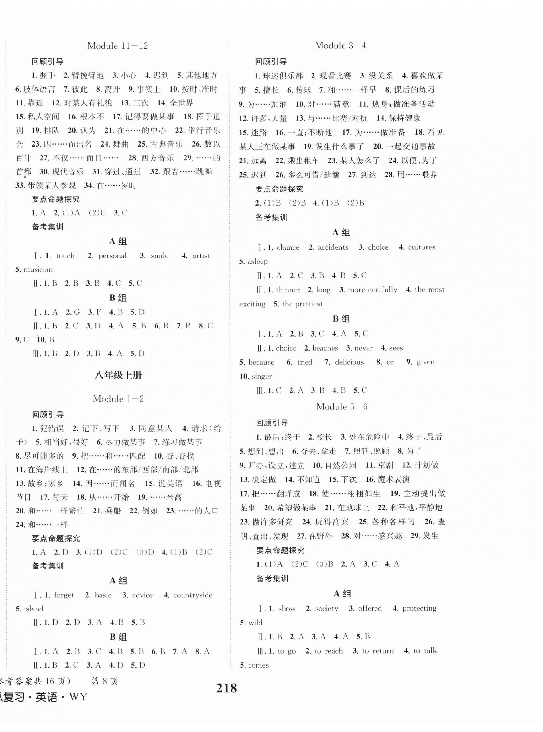 2024年成功中考系統(tǒng)總復(fù)習(xí)英語外研版 第3頁