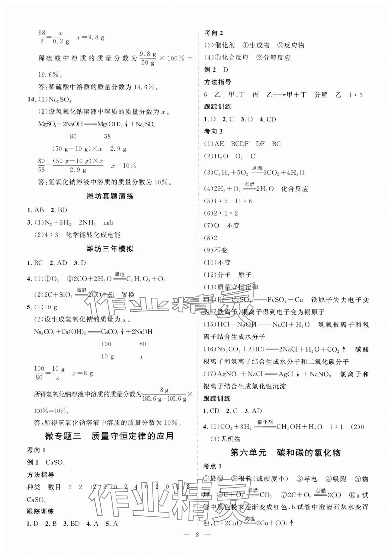 2025年优加学案赢在中考化学潍坊专版 第8页