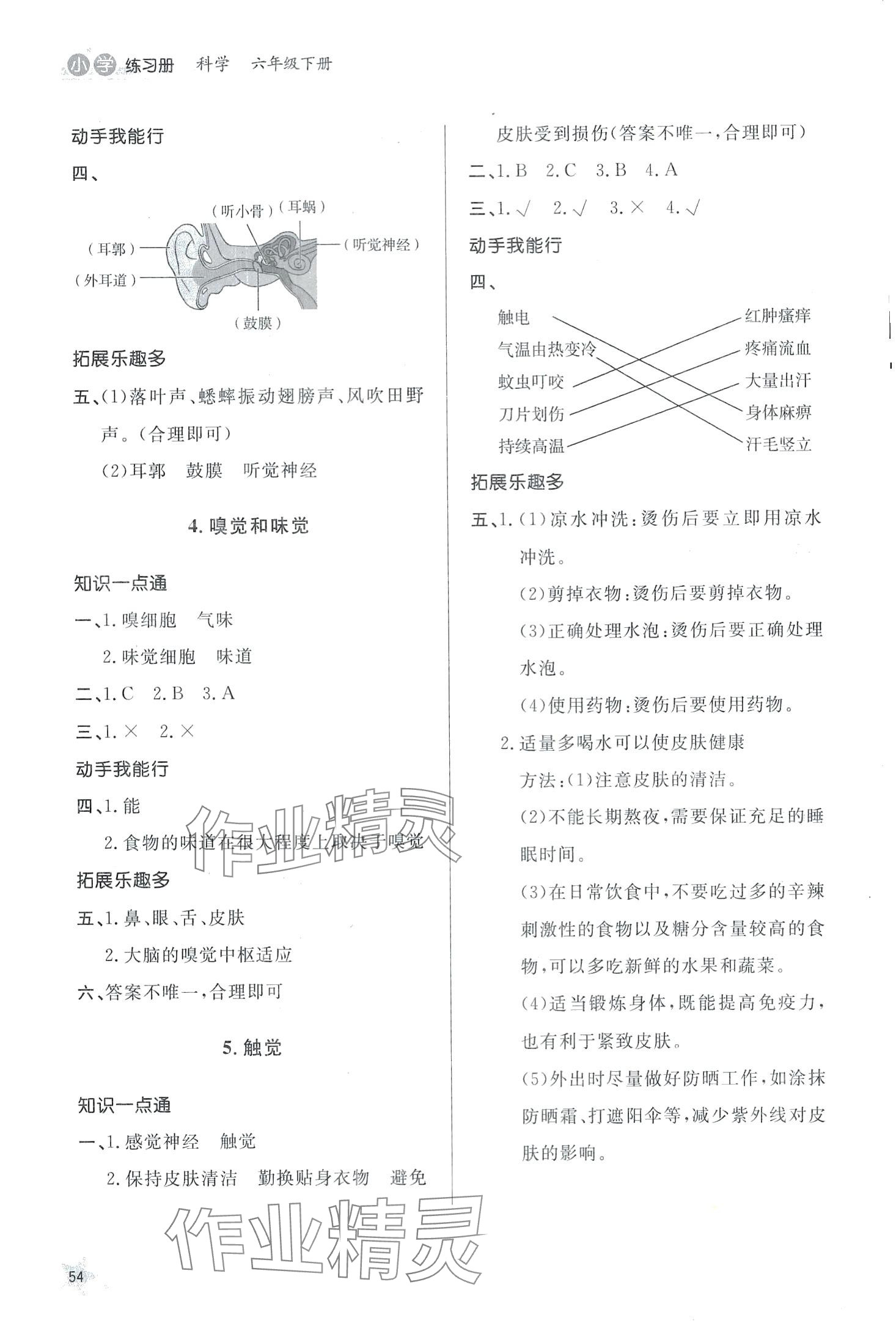 2024年同步練習冊山東人民出版社六年級科學下冊青島版 第2頁