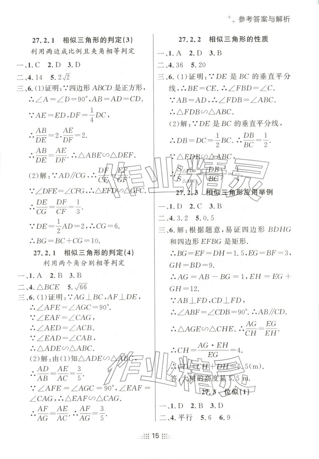 2025年点石成金金牌夺冠九年级数学全一册人教版辽宁专版&nbsp;第15页
