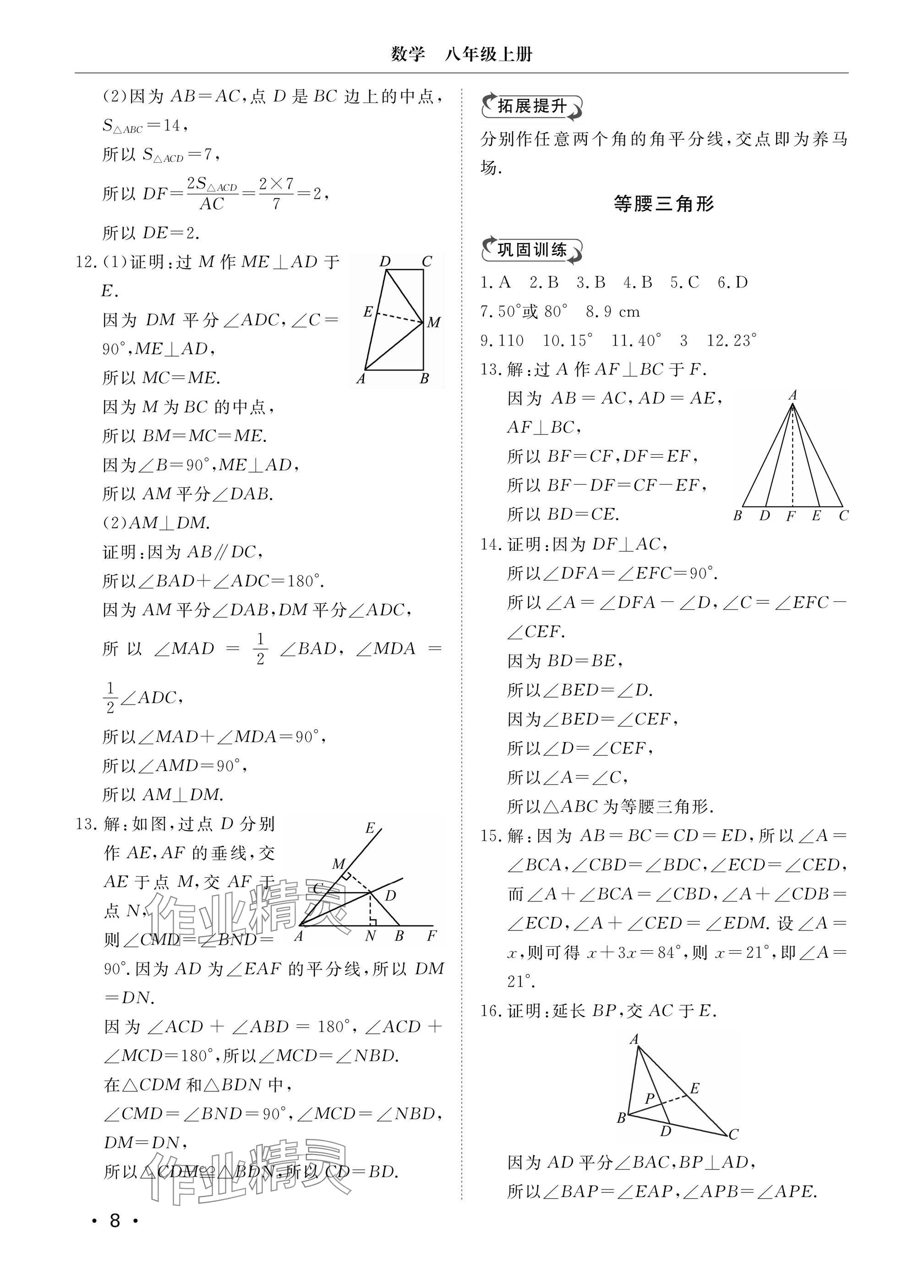 2024年行知天下八年級數(shù)學(xué)上冊青島版 參考答案第8頁