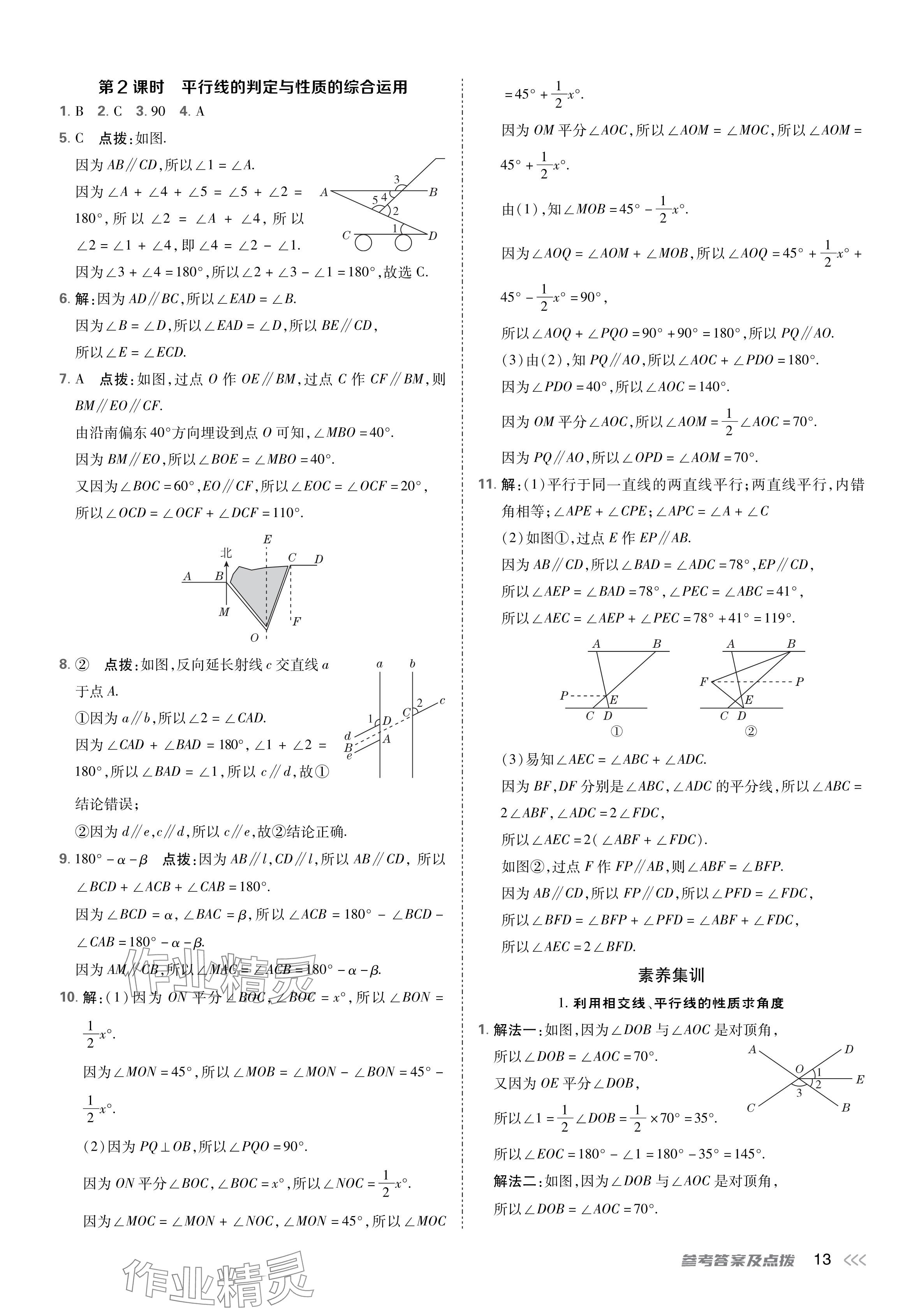 2024年點撥訓(xùn)練七年級數(shù)學(xué)下冊北師大版 參考答案第13頁