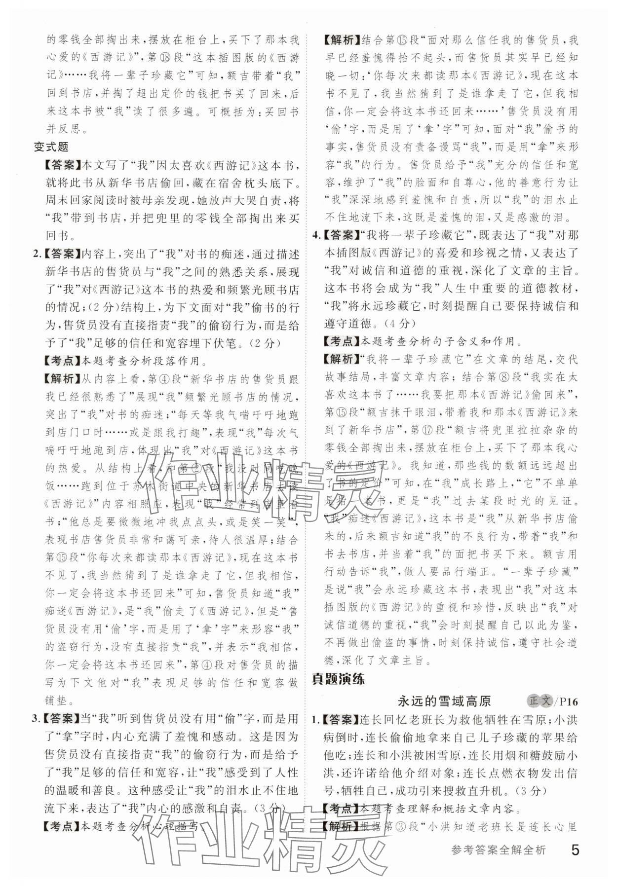 2025年品學優現代文閱讀訓練九年級語文 參考答案第5頁