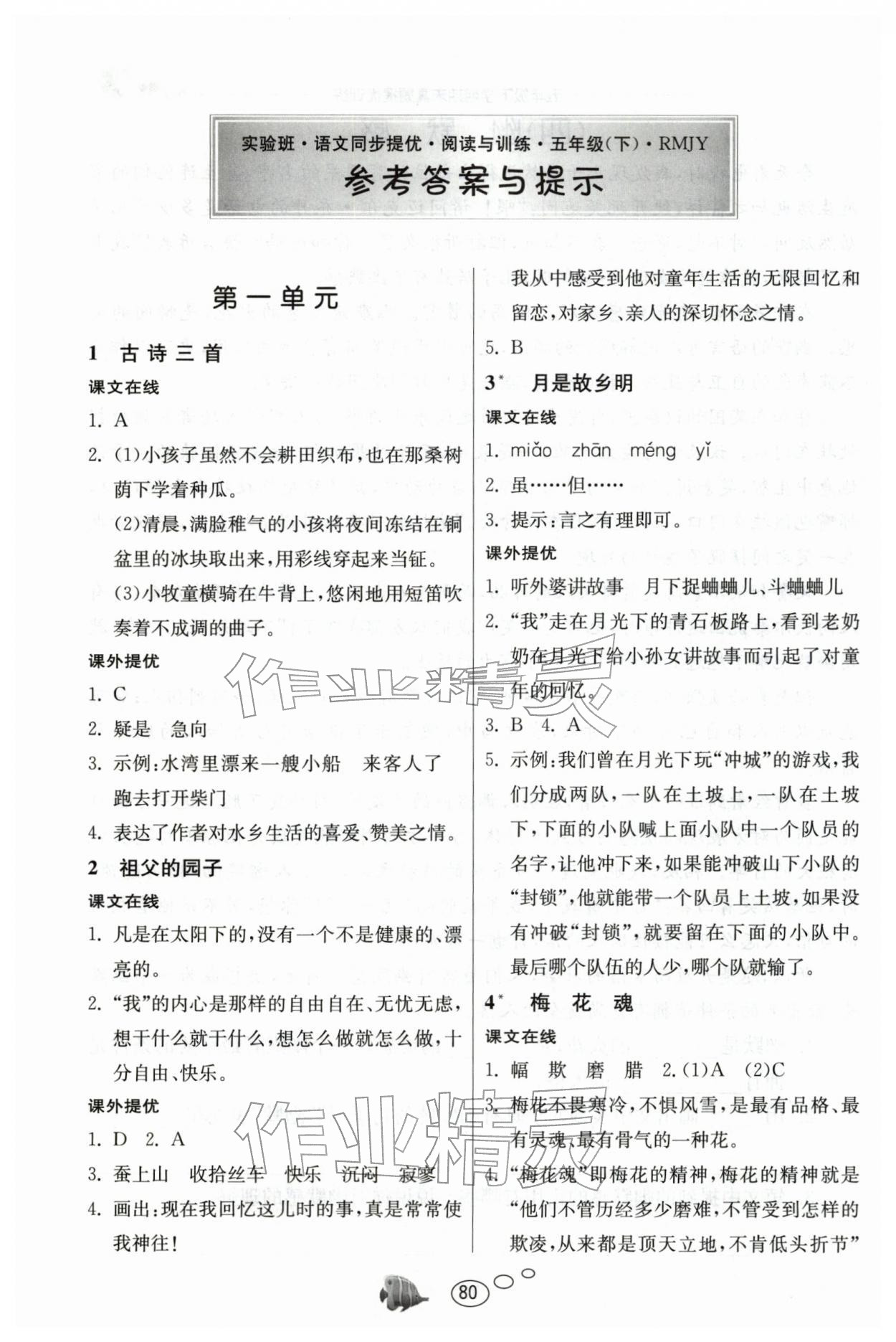 2026年实验班语文同步提优阅读与训练五年级下册人教版&nbsp;第2页