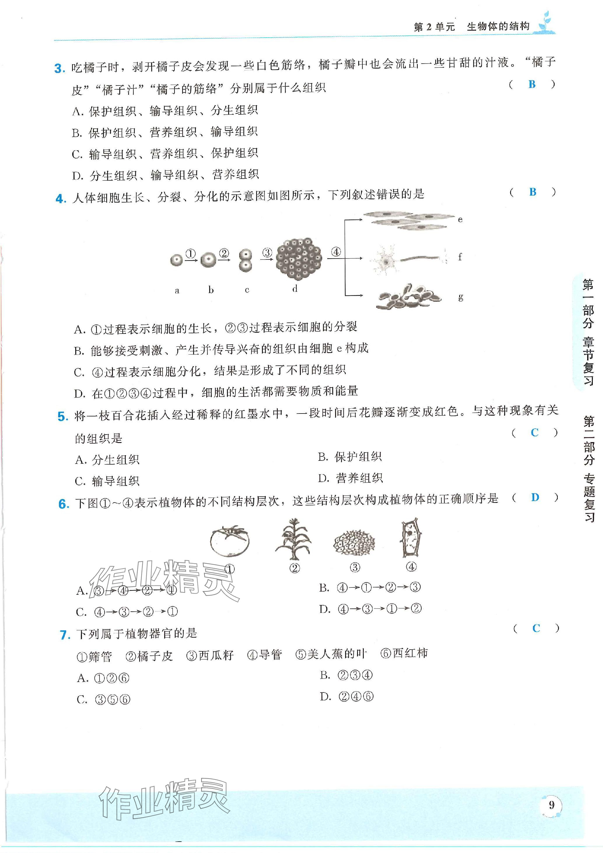 2024年決勝會考生物北師 參考答案第9頁