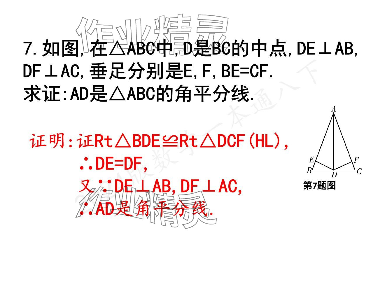 2025年一本通武漢出版社八年級(jí)數(shù)學(xué)下冊(cè)北師大版精簡(jiǎn)版 參考答案第49頁(yè)