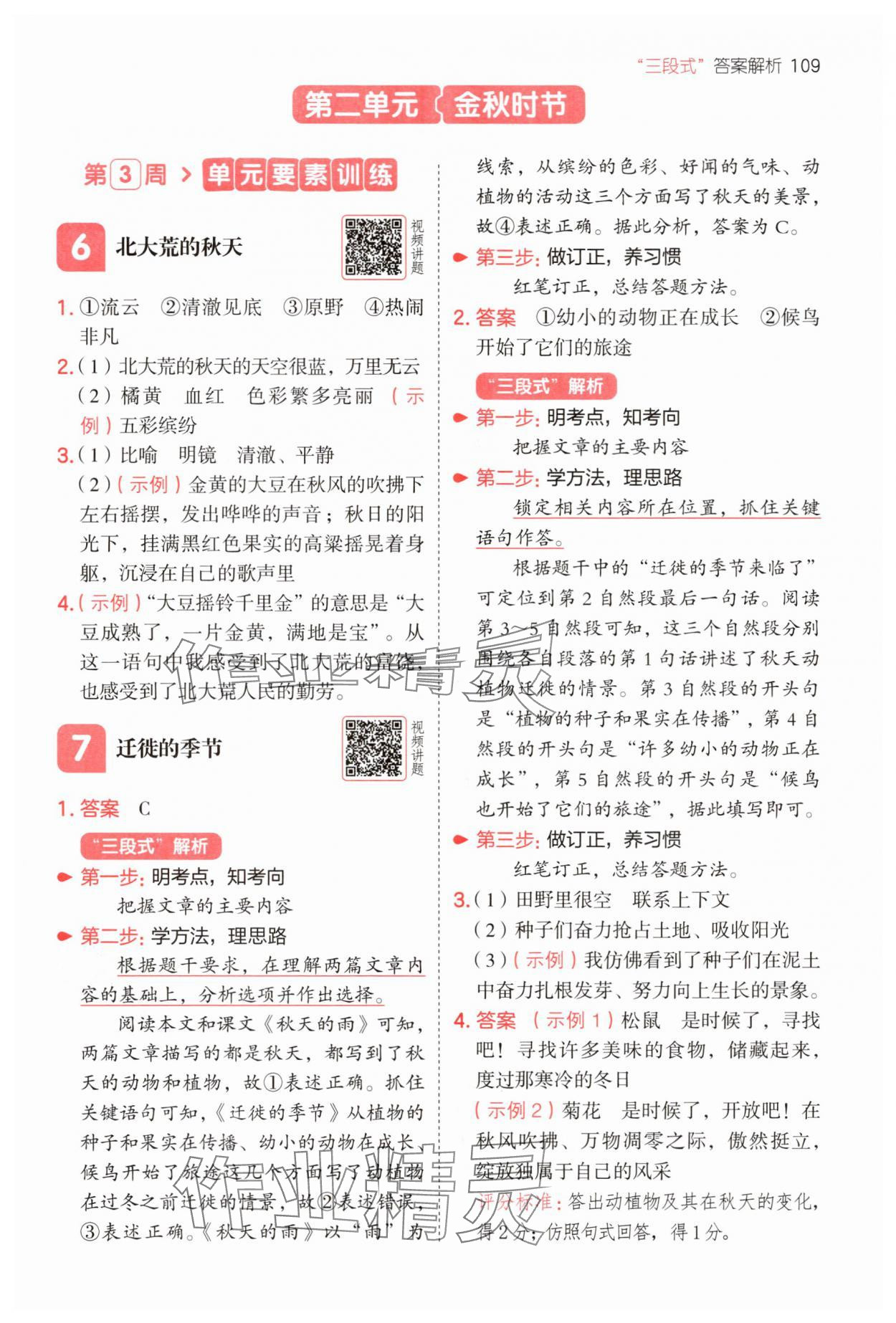 2025年一本同步閱讀三年級(jí)語(yǔ)文上冊(cè)人教版 第5頁(yè)