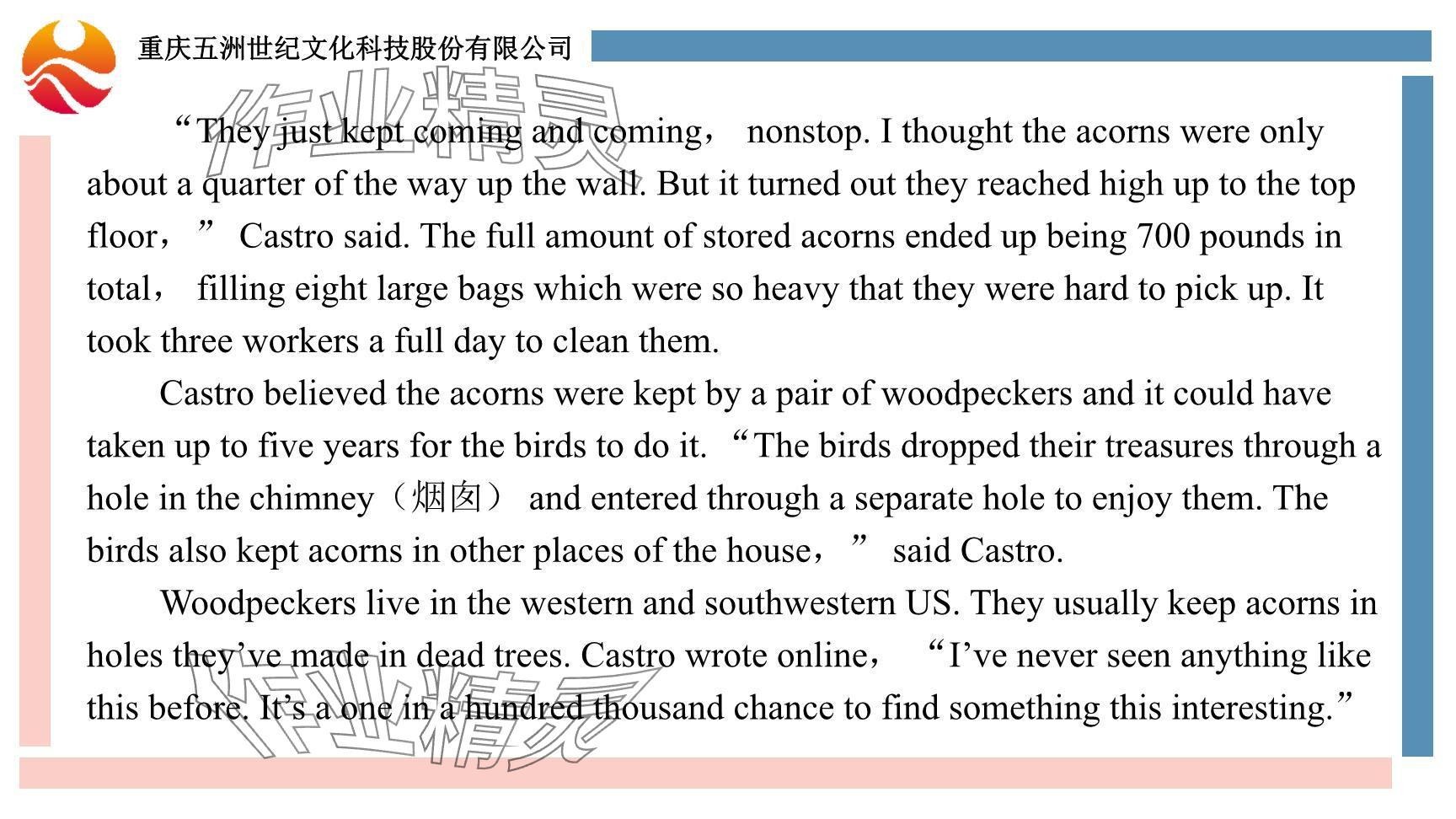 2024年重慶市中考試題分析與復(fù)習(xí)指導(dǎo)英語 參考答案第37頁