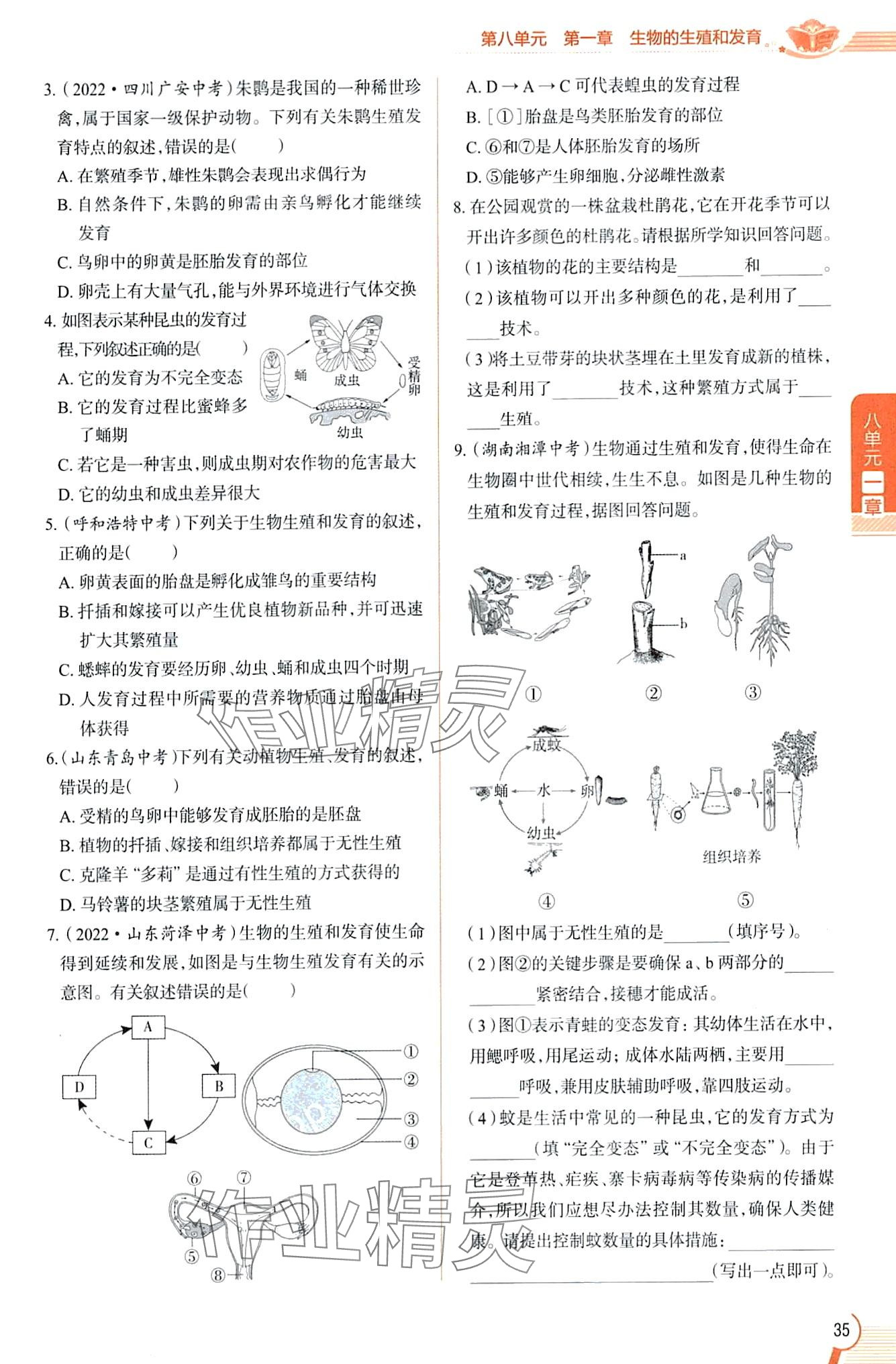 2024年教材課本八年級生物下冊魯科版五四制 第35頁