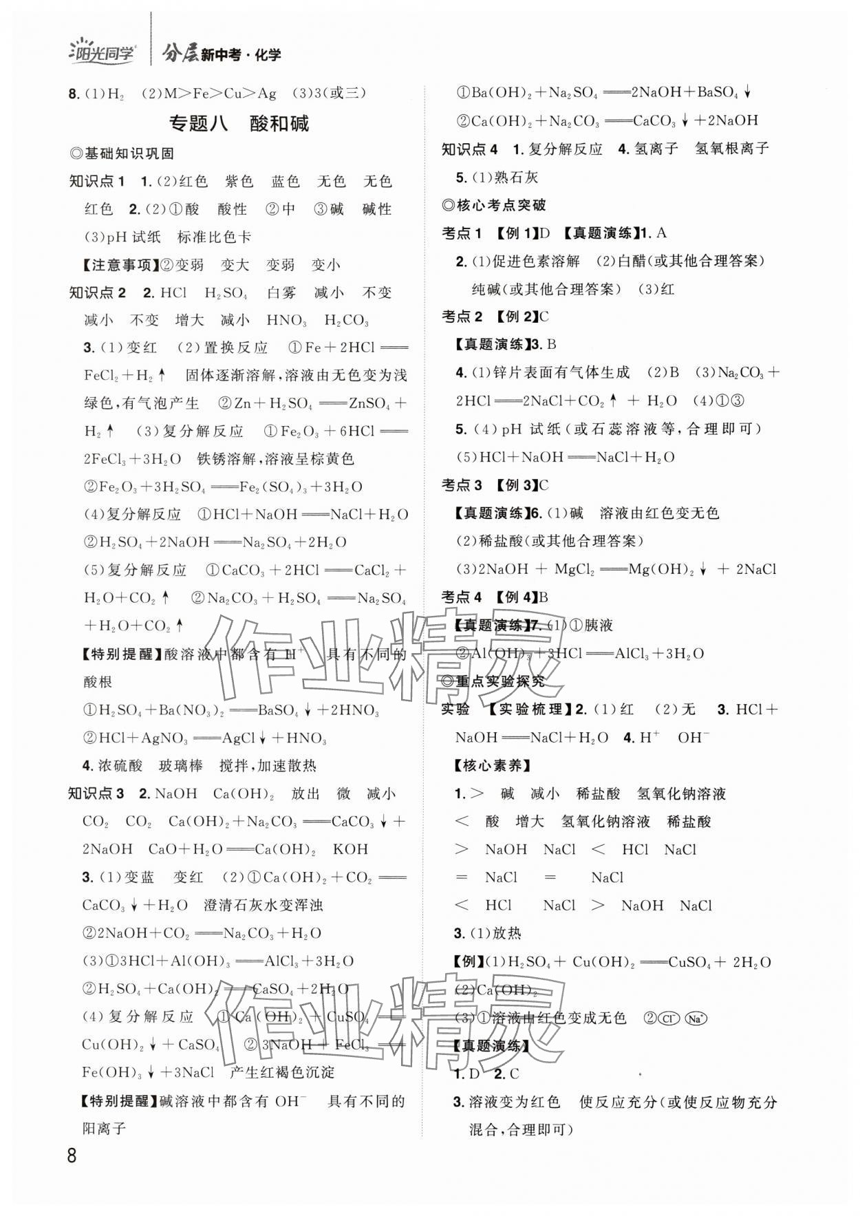 2024年陽光同學(xué)分層新中考化學(xué)福建專版 參考答案第8頁