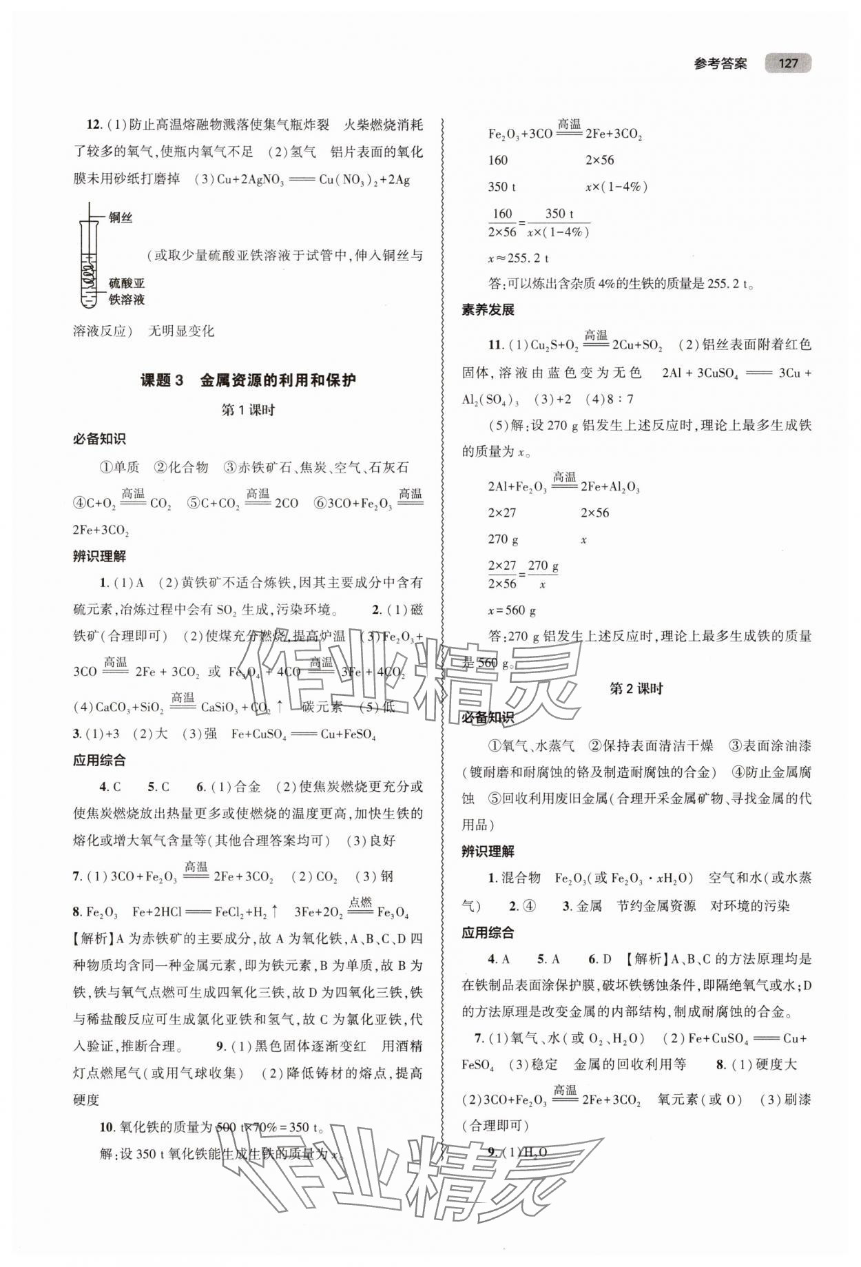 2025年同步練習冊大象出版社九年級化學下冊人教版 第3頁