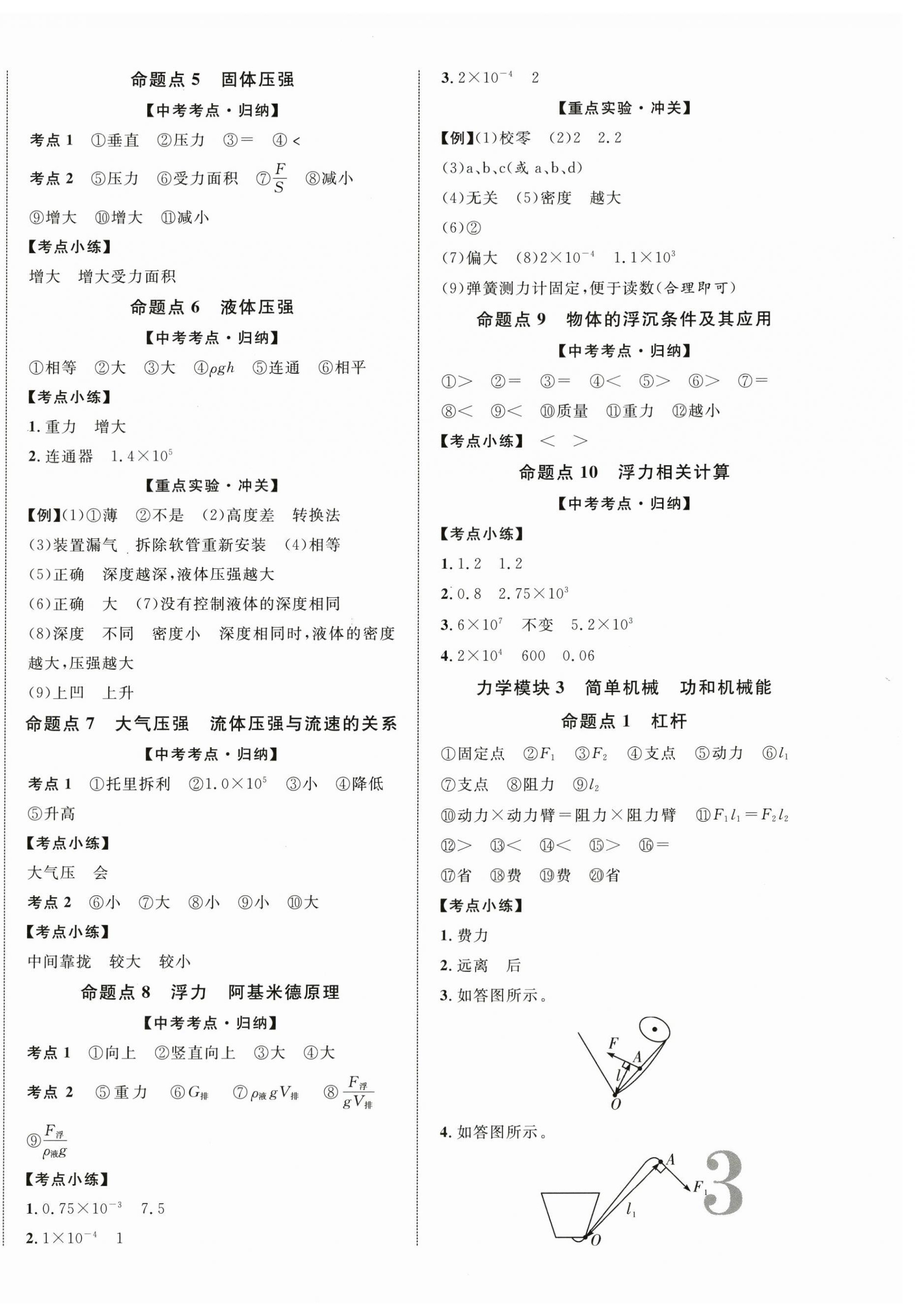 2025年初中新課標全程復習方略物理 第6頁