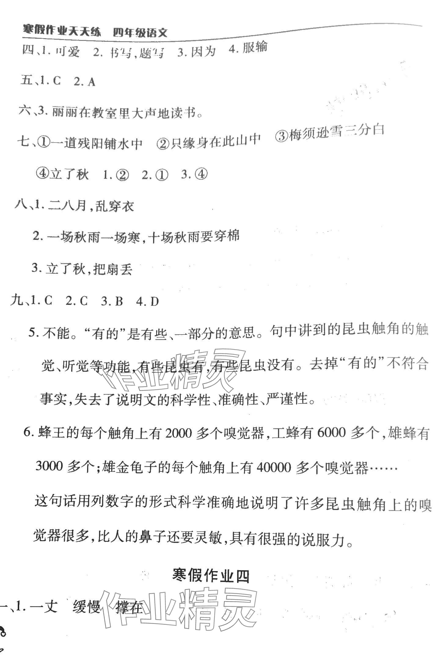 2024年寒假作業(yè)天天練文心出版社四年級(jí)語(yǔ)文 第3頁(yè)