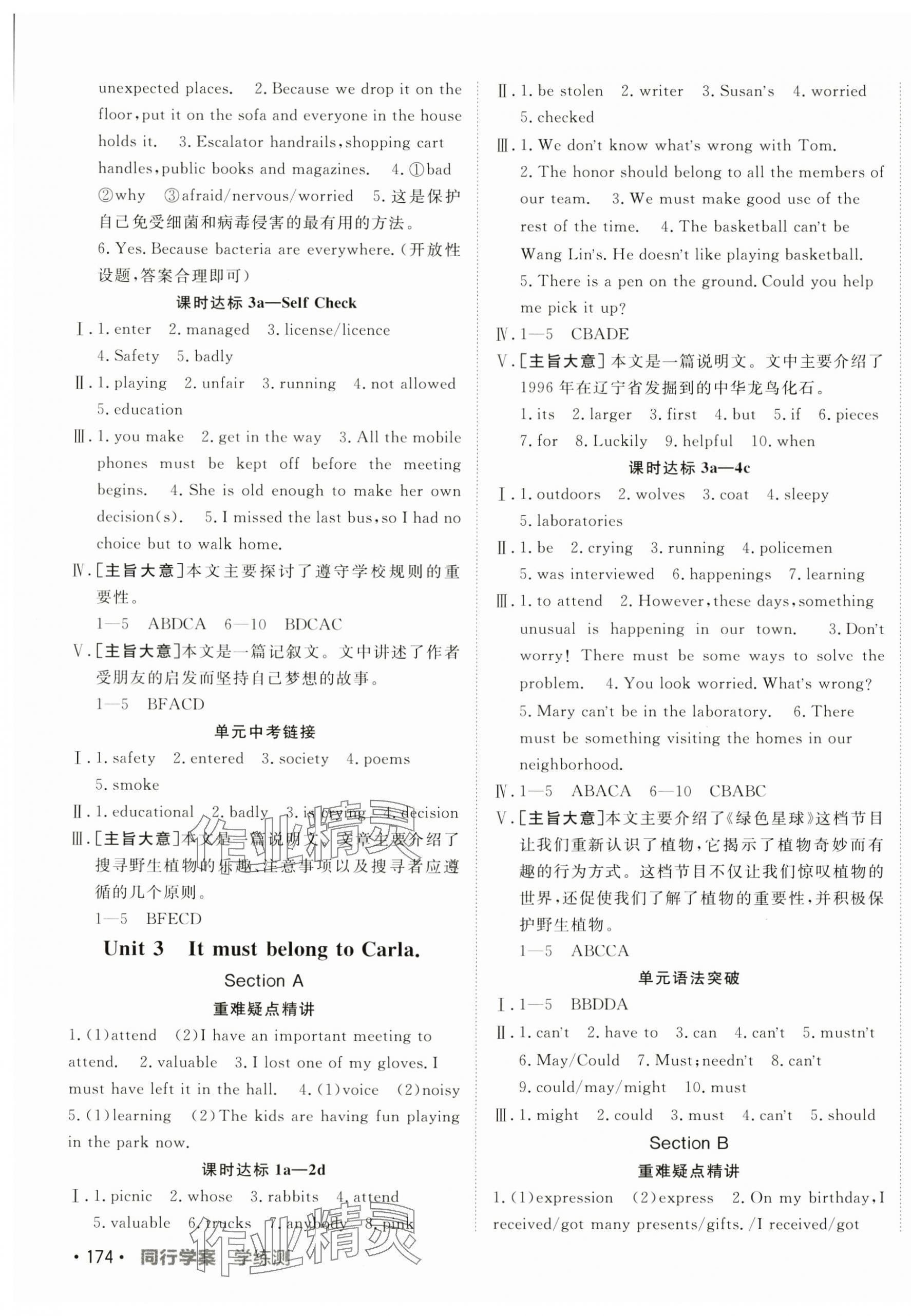 2025年同行学案九年级英语下册鲁教版 第3页