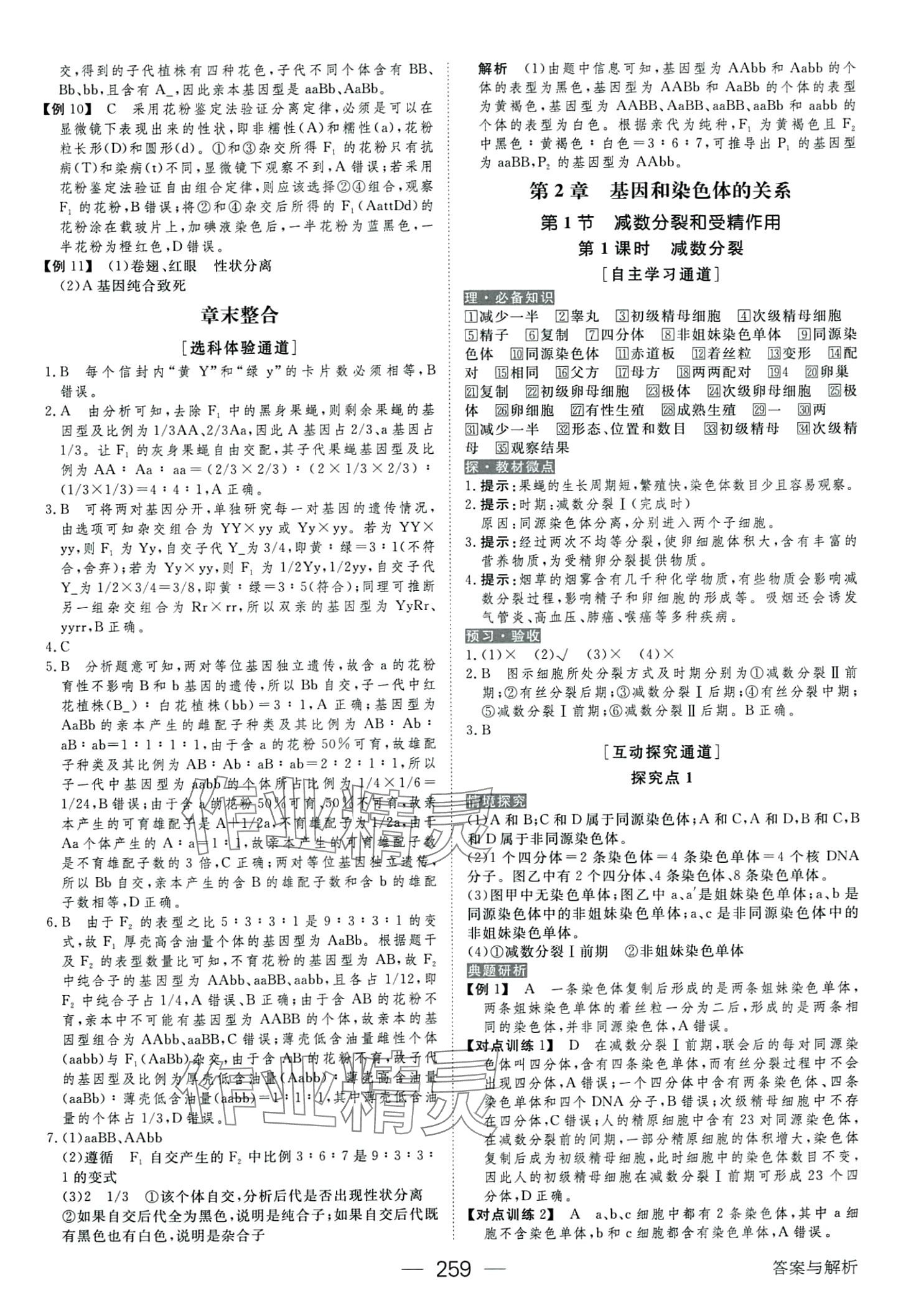 2024年綠色通道高中生物必修2人教版 第7頁(yè)