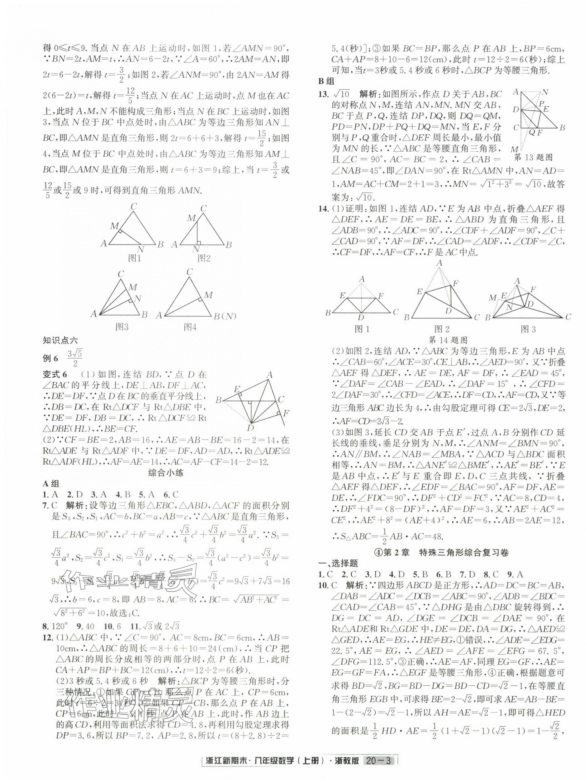 2023年浙江新期末八年级数学上册浙教版 第3页